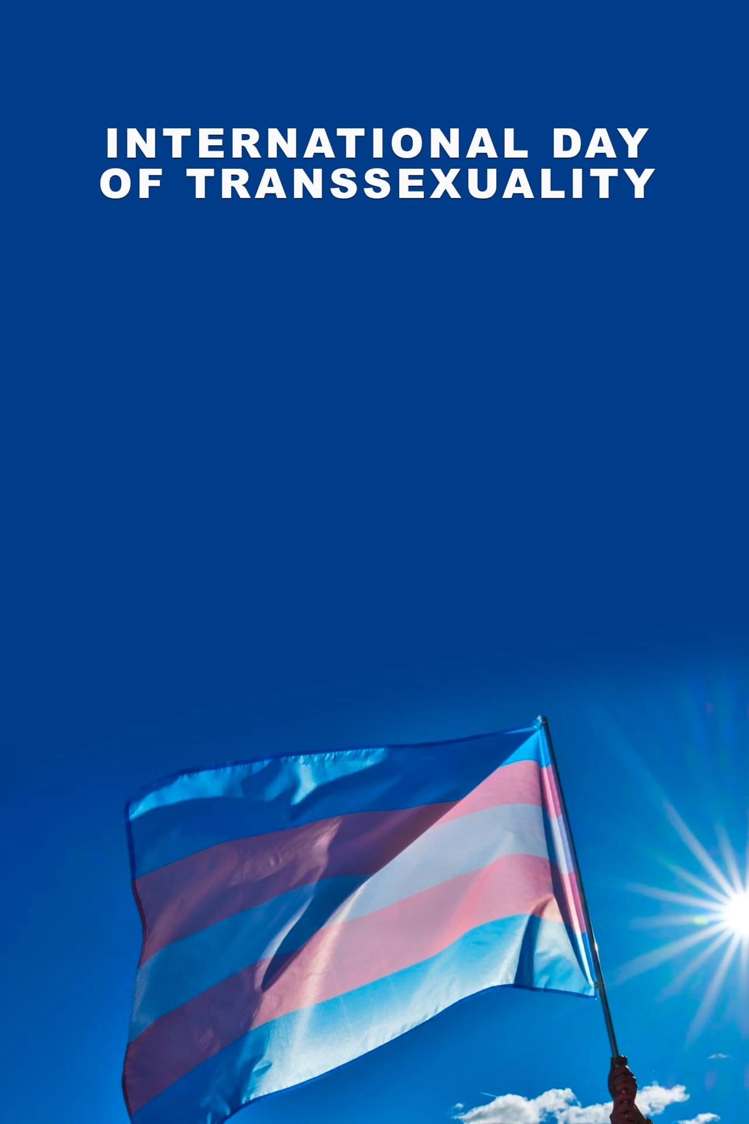 Journée internationale de la transsexualité