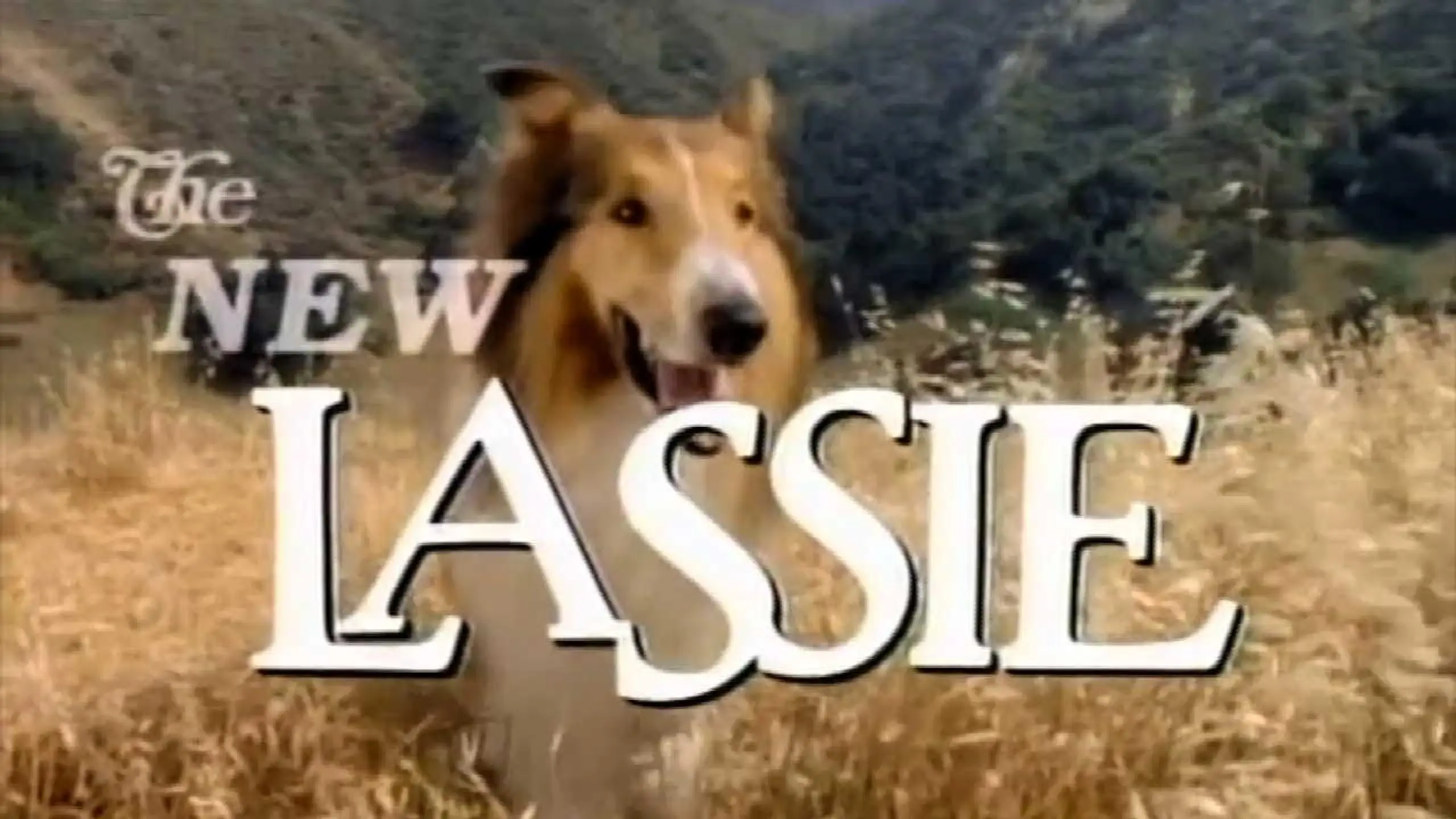 Lassie