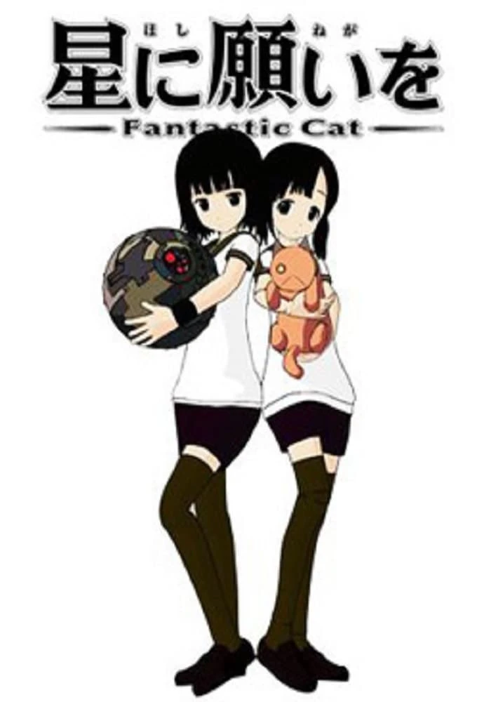 Wish Upon a Star - Fantastic Cat