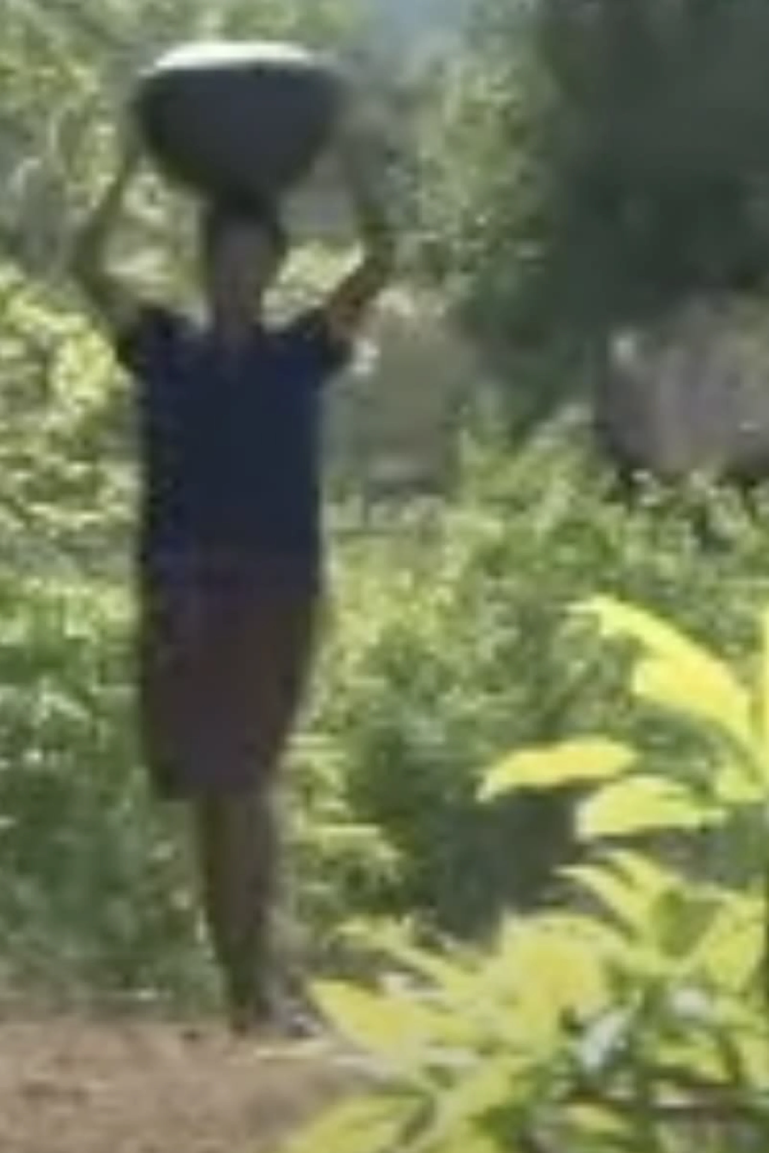 Umjingi Udliwa Yinhlitiyo