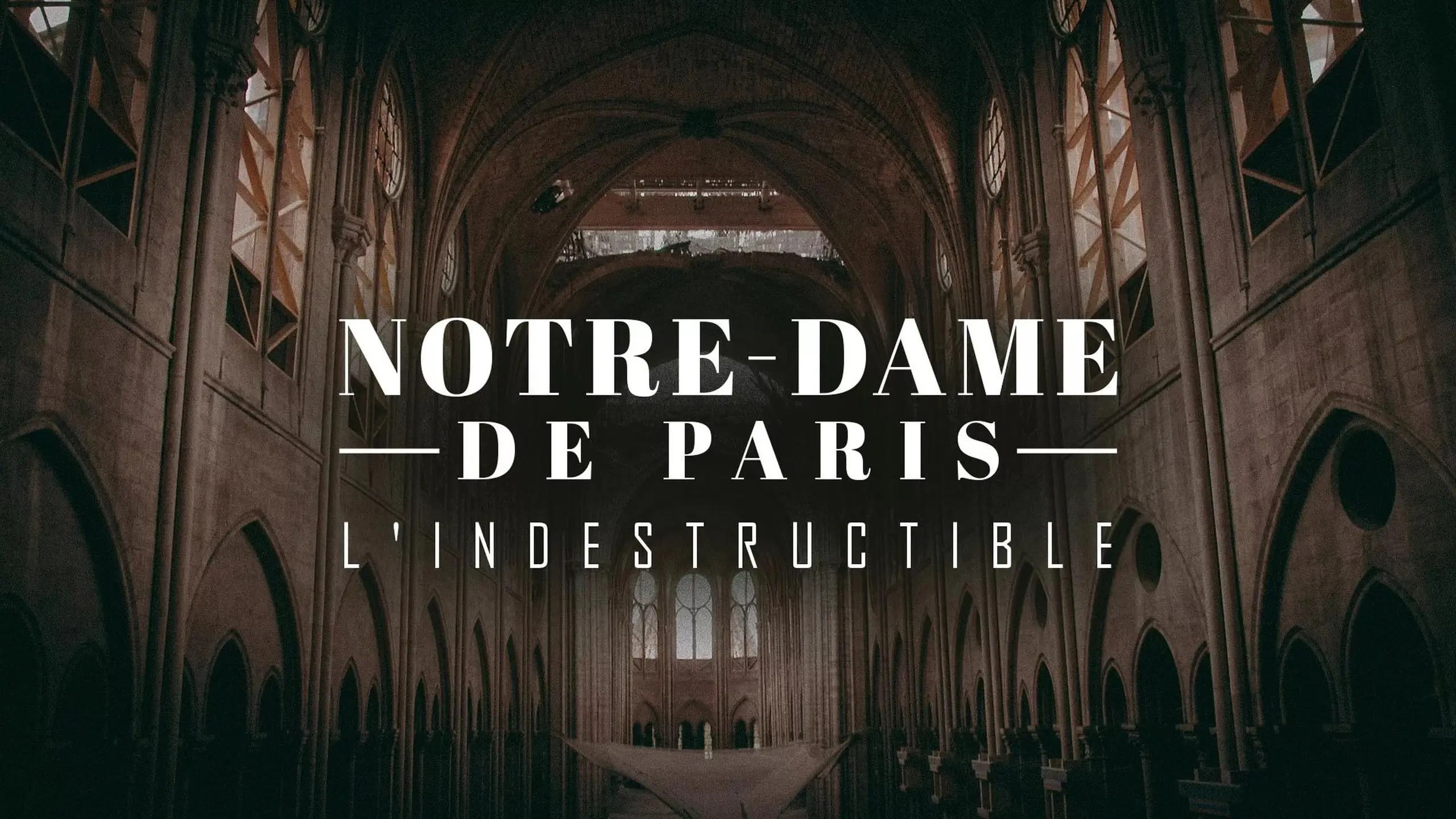 Notre-Dame de Paris L'indestructible