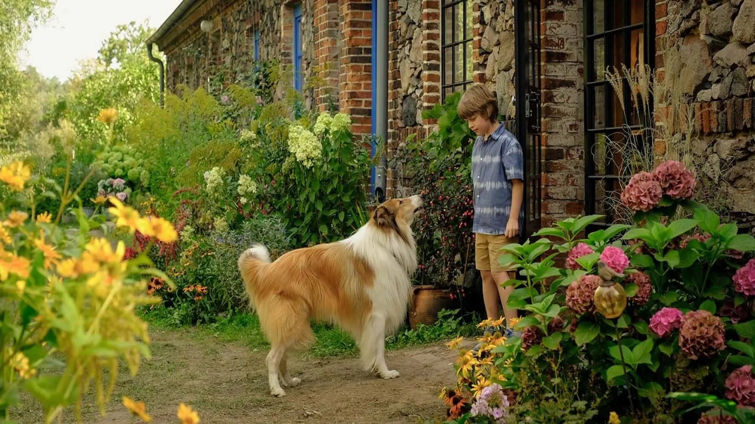 Lassie – Ein neues Abenteuer