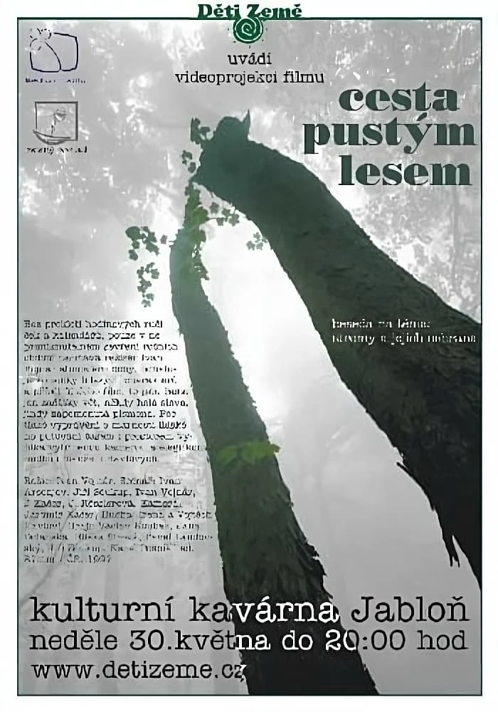 Cesta pustým lesem