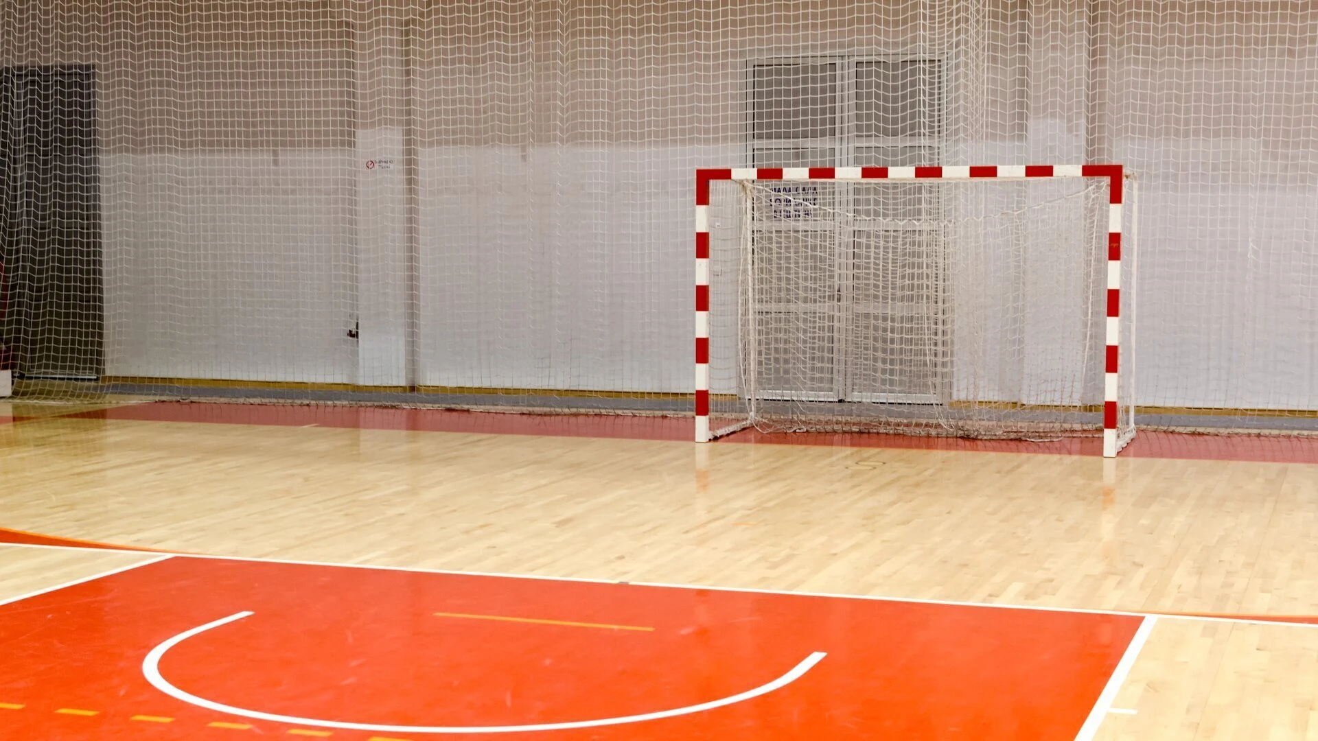 Handball: Länderspiel der Damen