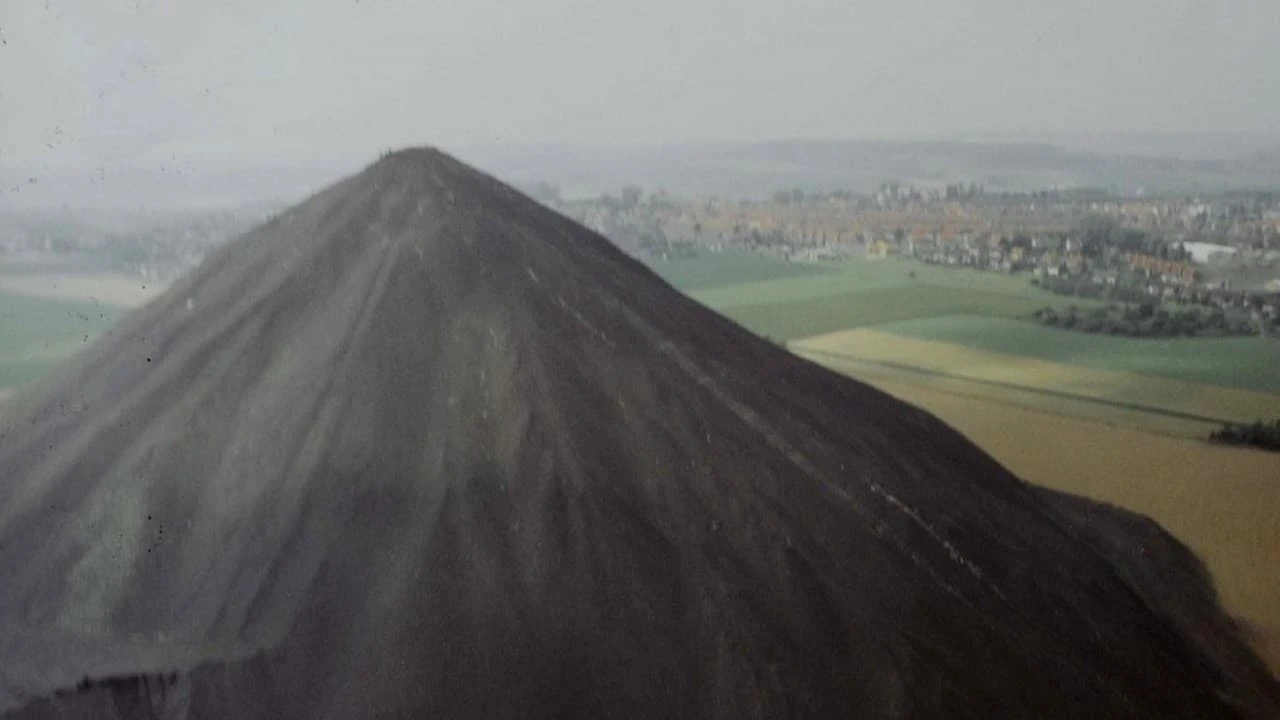 La cabale des oursins