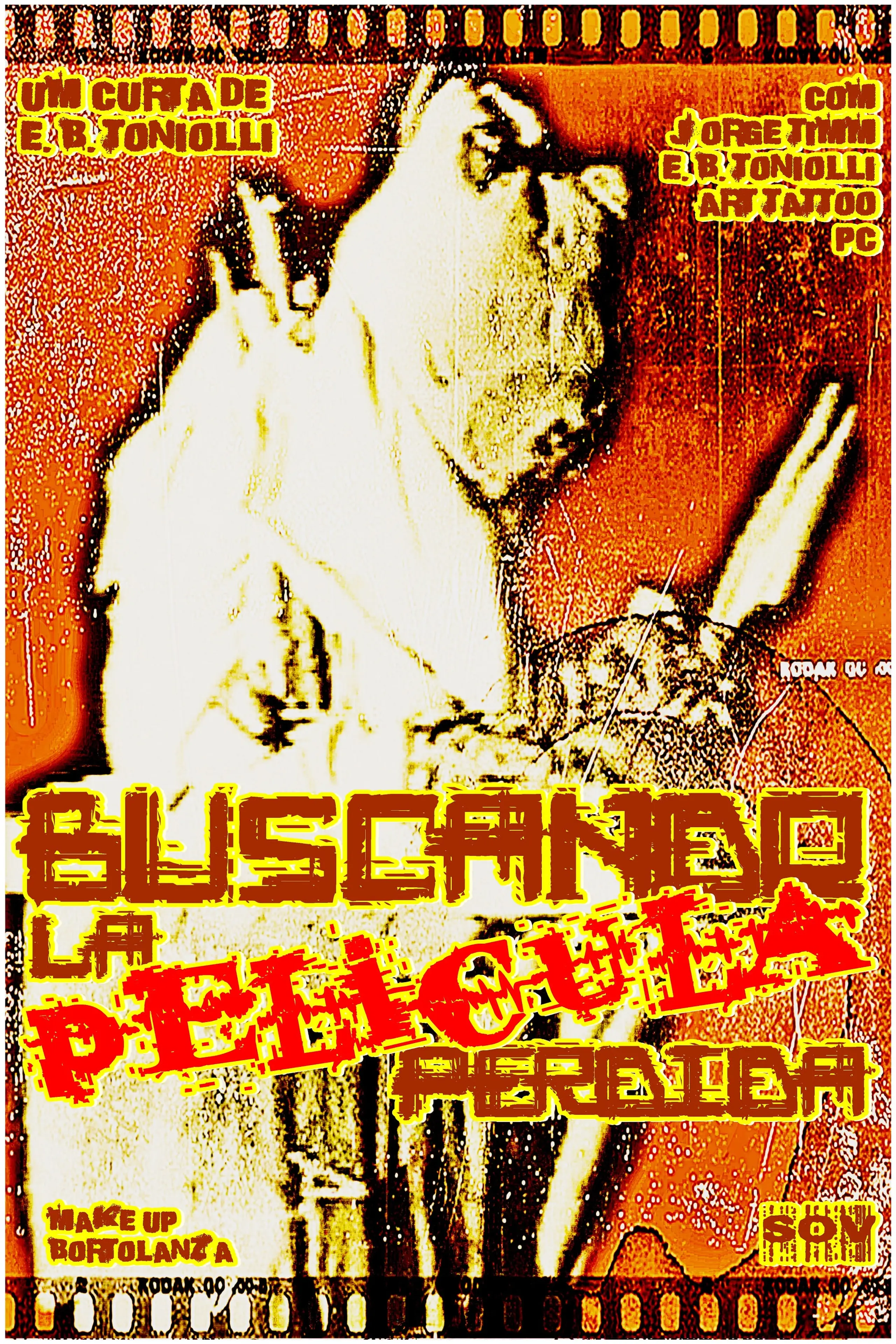 Buscando la Película Perdida