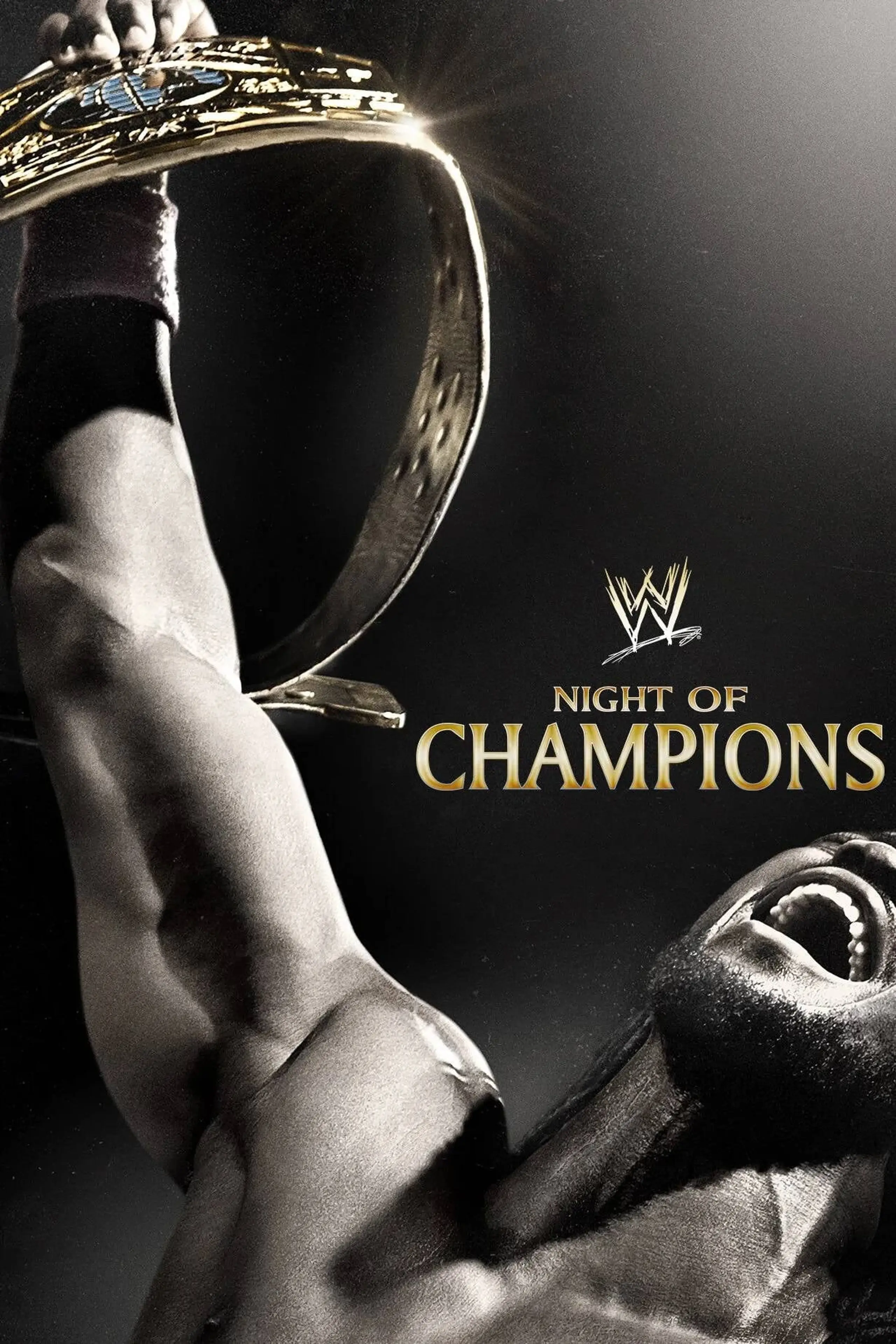 WWE Night of Champions 2013