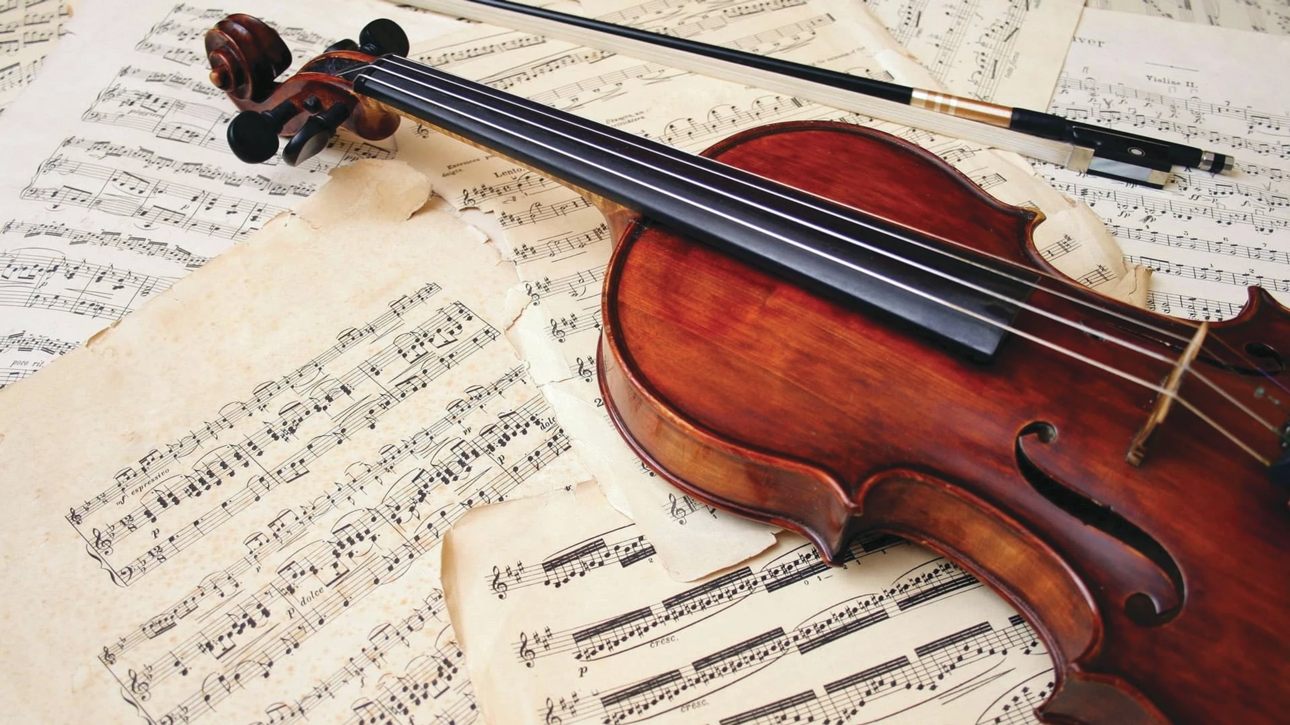 The Art of Violin