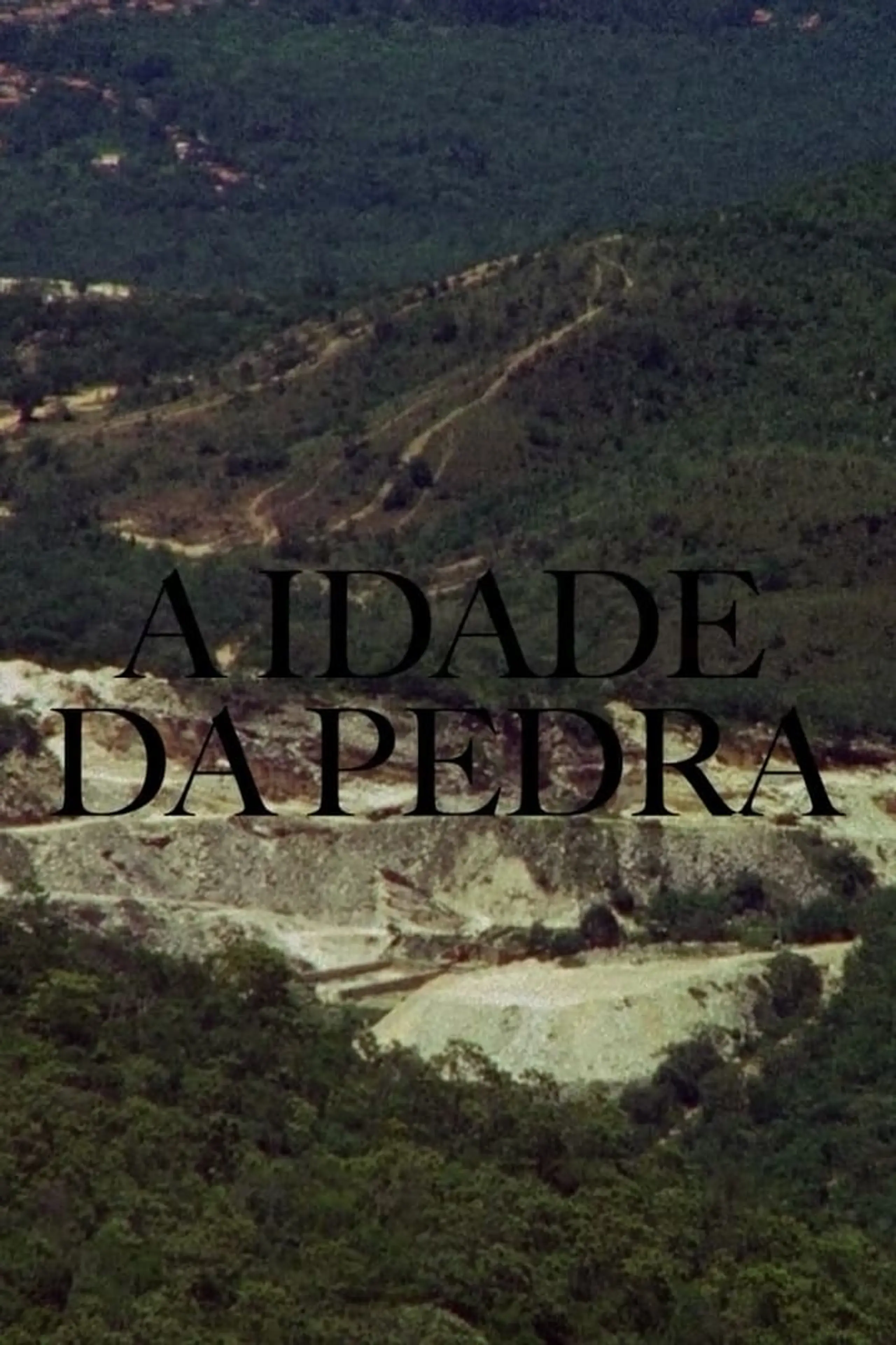 A Idade da Pedra