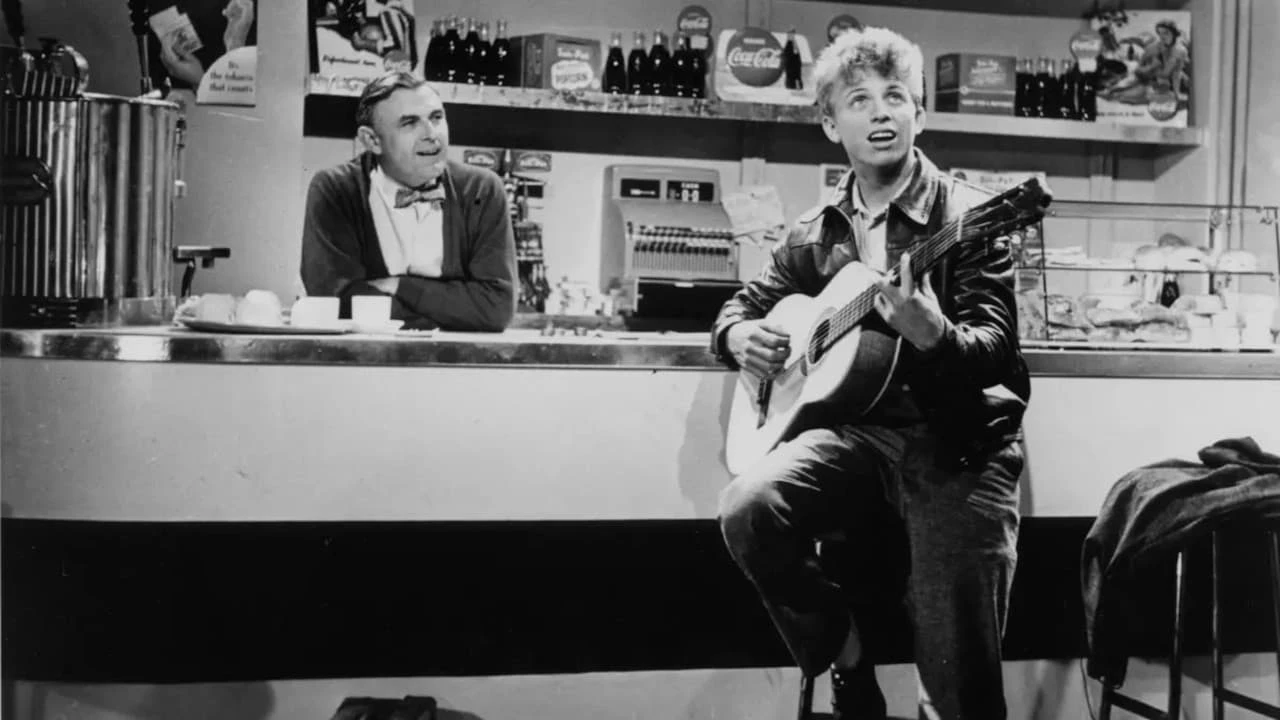 Die Tommy Steele Story