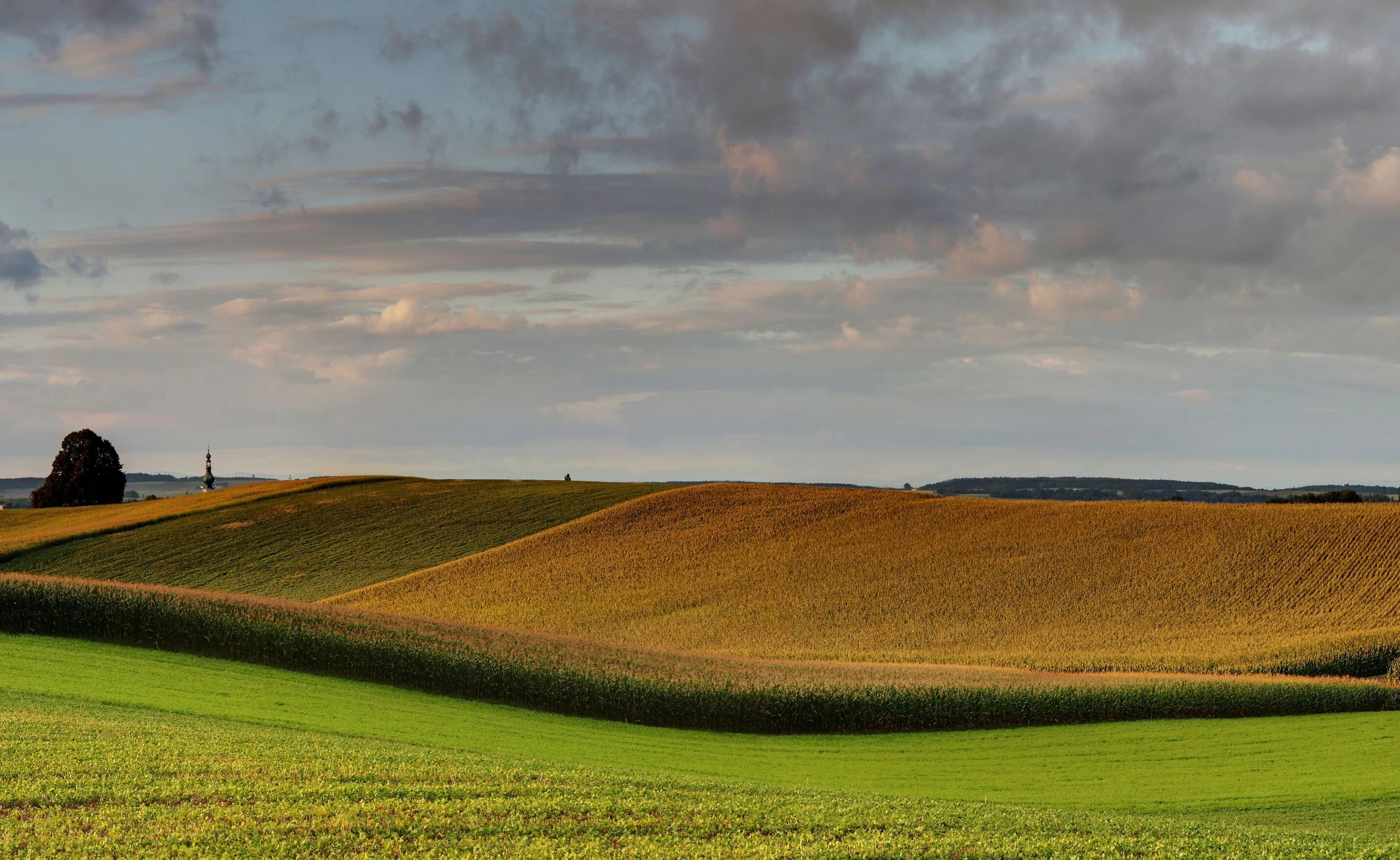 Innviertel: Eine Region, die mehr ist als es scheint: Das Land ist von einem Netz starker Arbeitgeber überzogen.