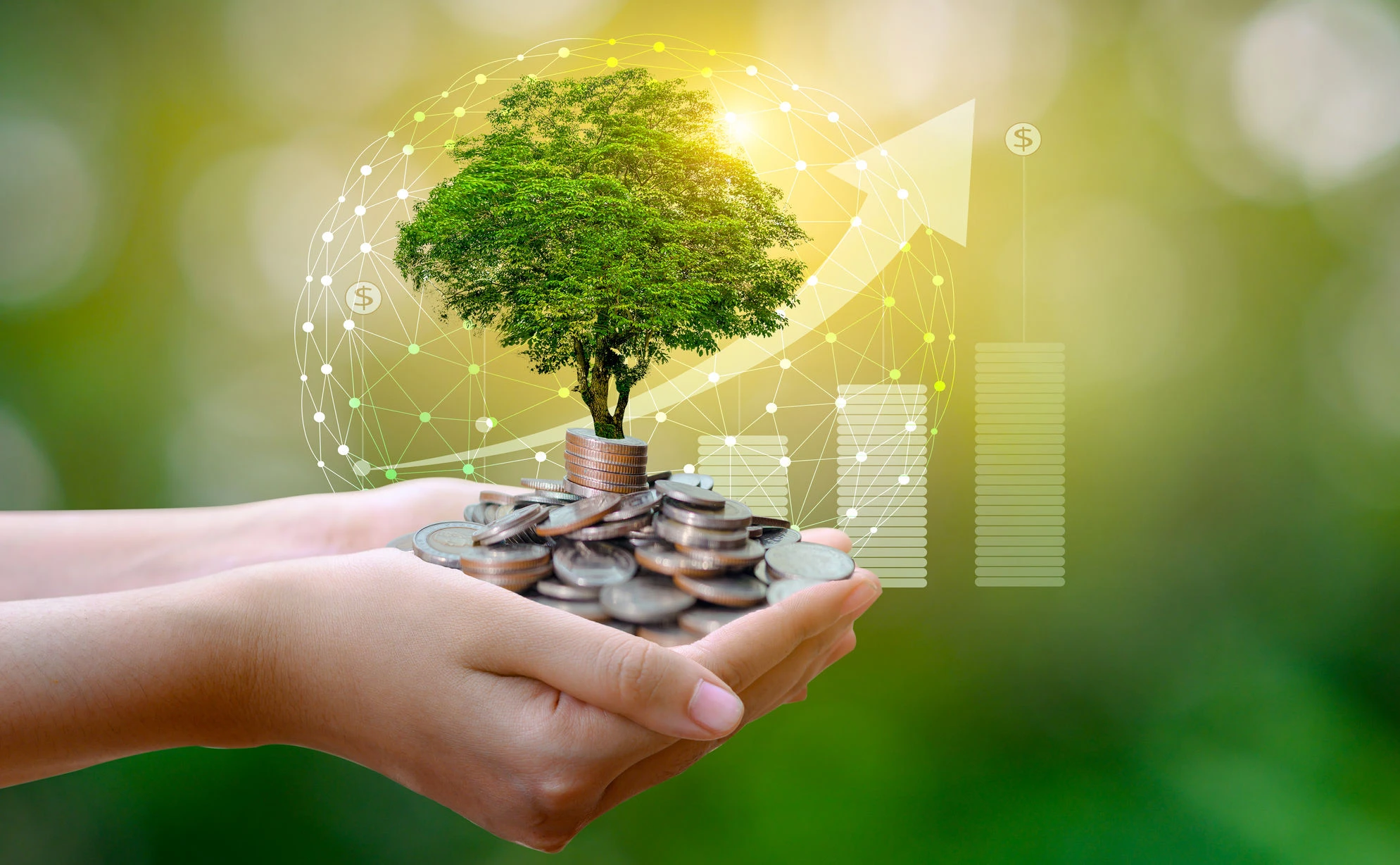 Net Zero Asset Managers: Investieren für den Klimaschutz
