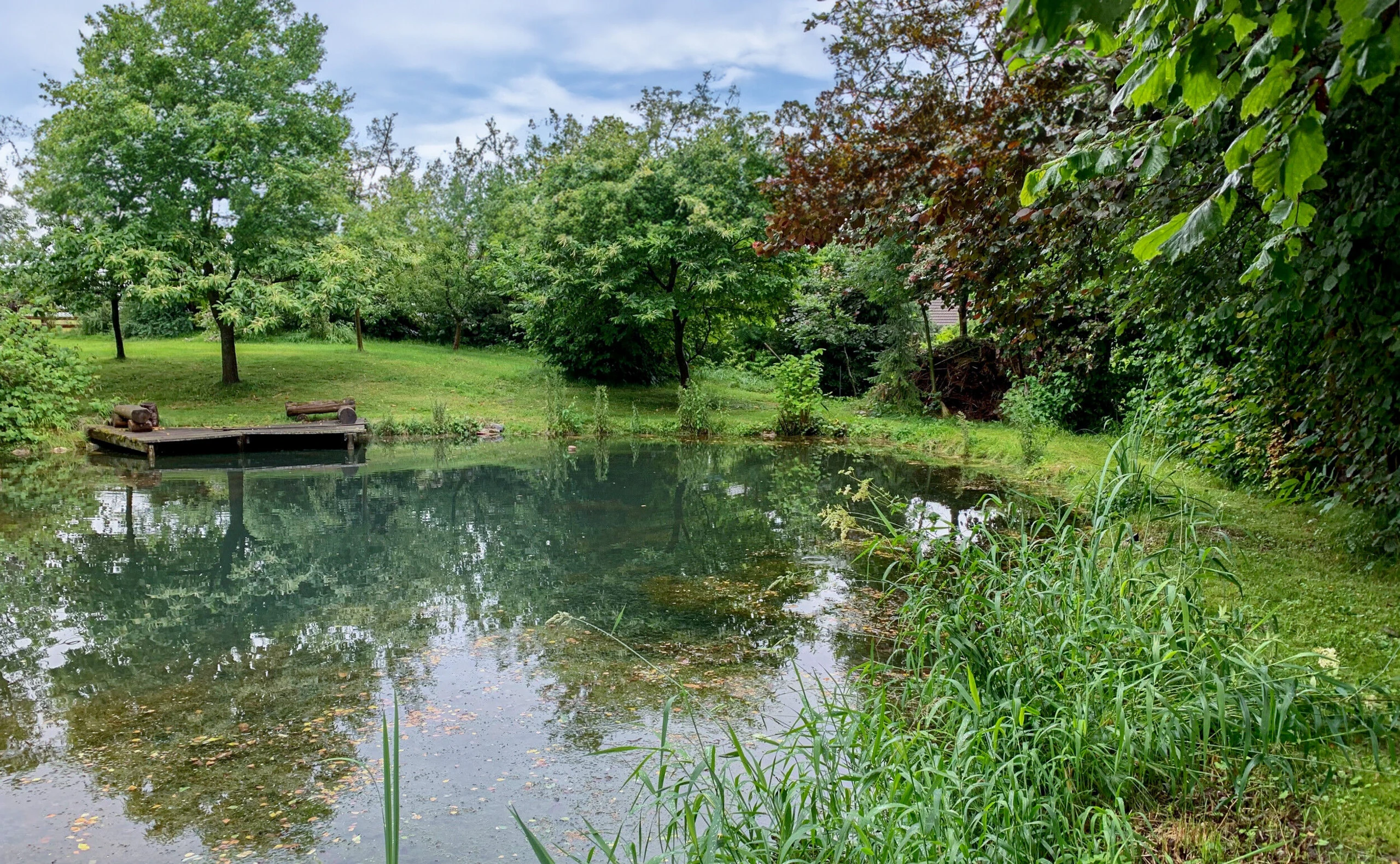 Österreichs größte Grund- und Waldbesitzer