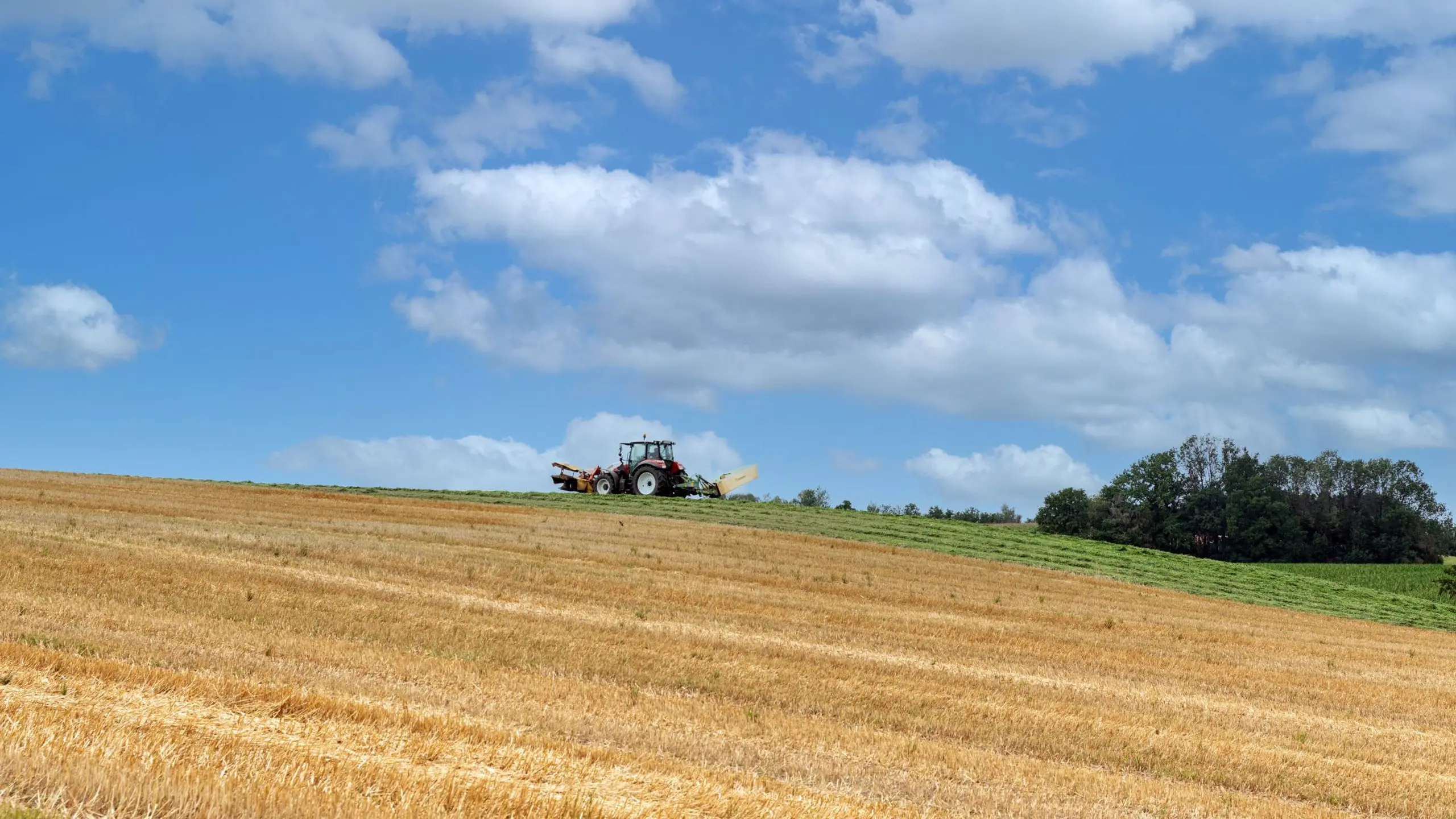 Landwirt in Österreich werden: Von der Ausbildung zur Betriebsnummer