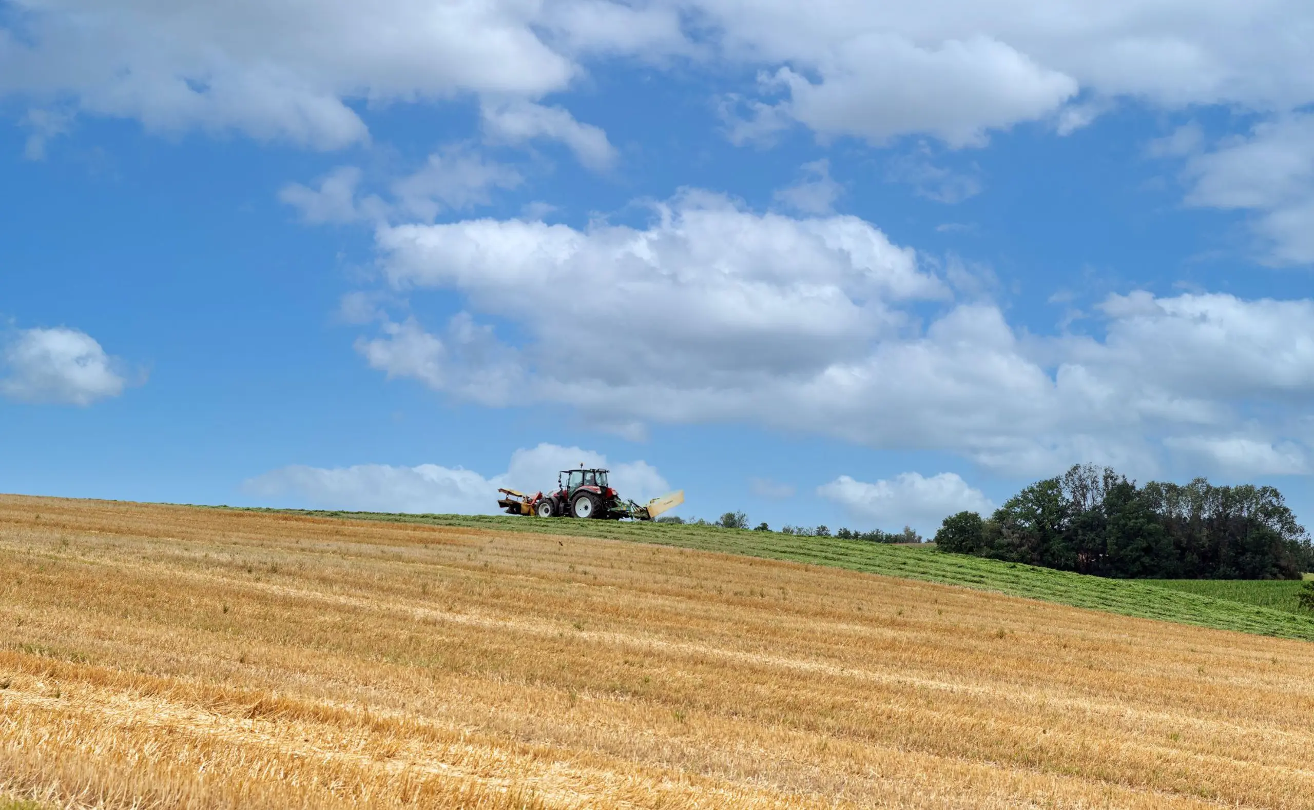 Landwirt in Österreich werden: Von der Ausbildung zur Betriebsnummer