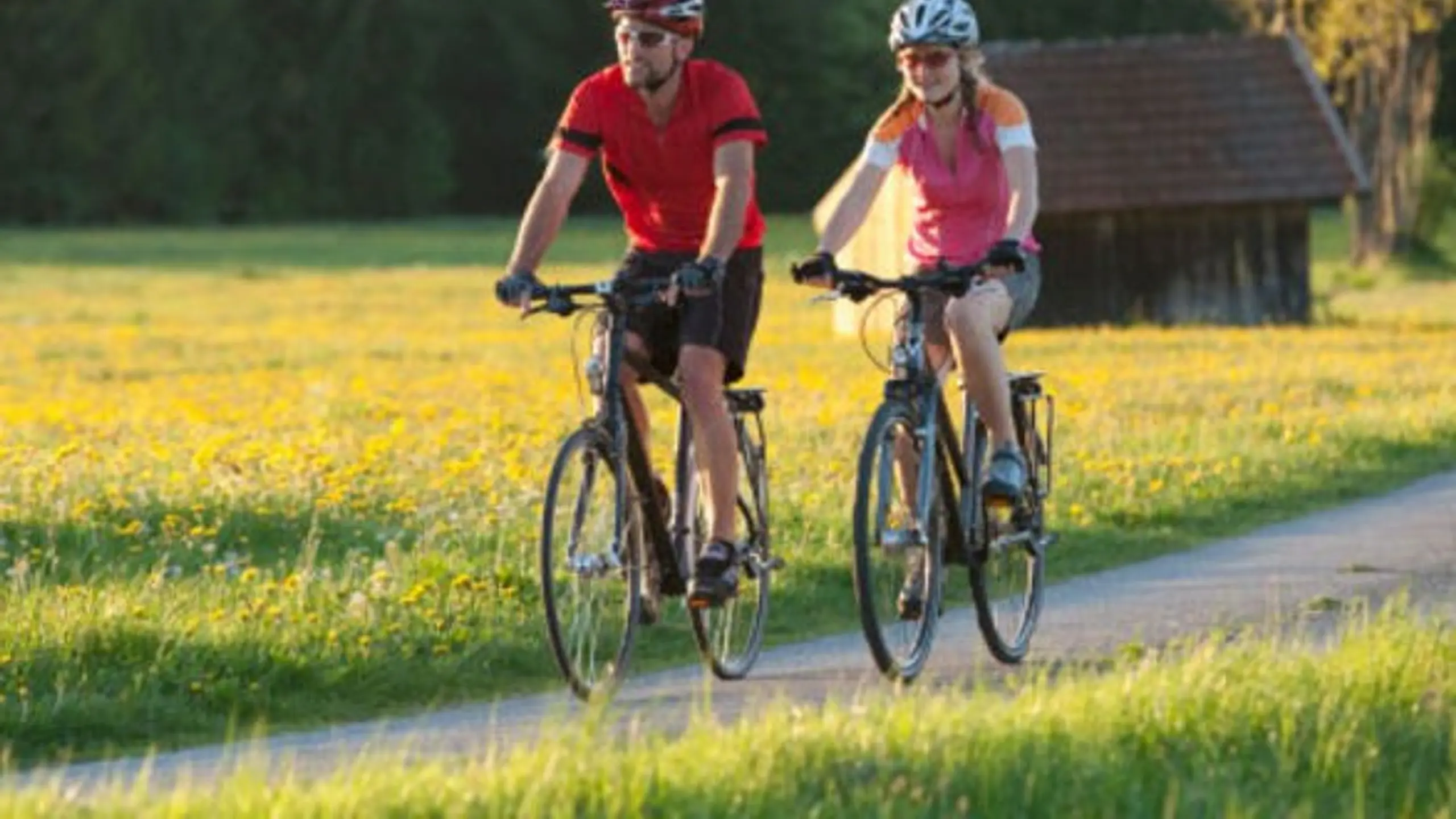 Die Fahrradsaison startet  Ist fahren mit Helm Pflicht?