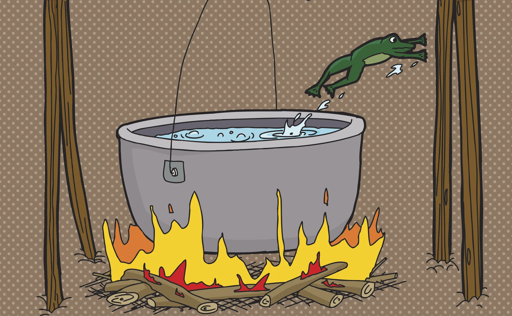 13 Coaching-Mythen: #2 Der Frosch im Topf