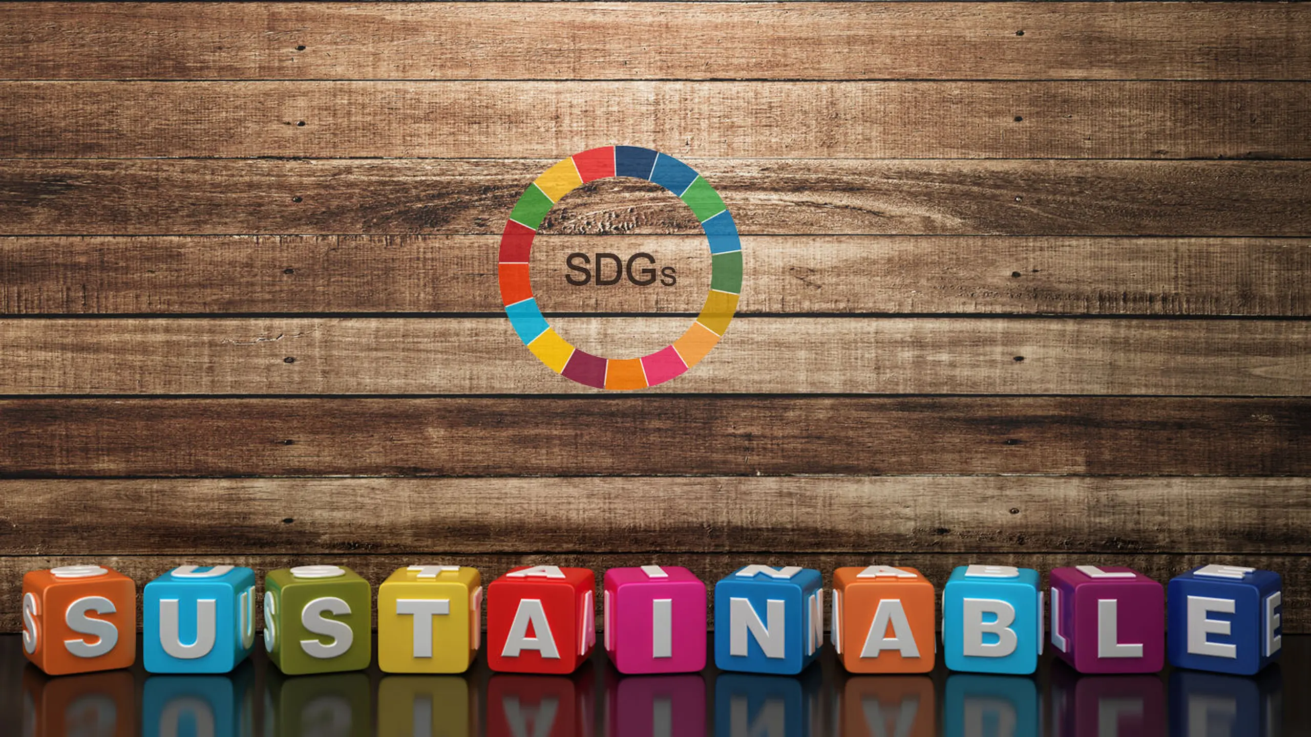 Sustainabele Development Goals der UN