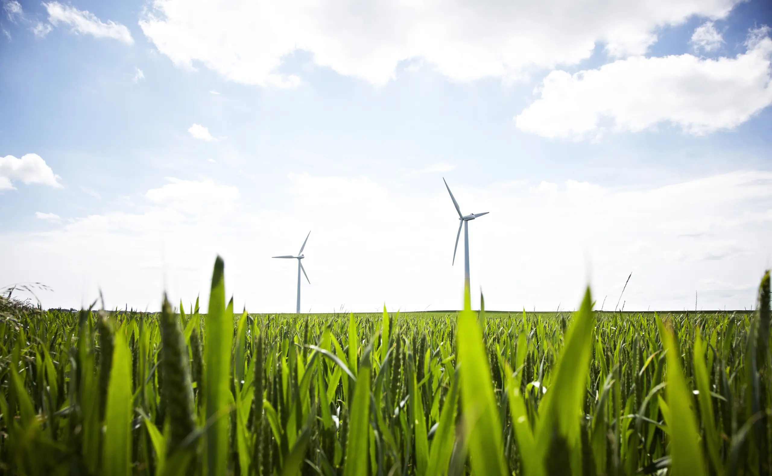 Starke Allianzen für „Net-Zero“