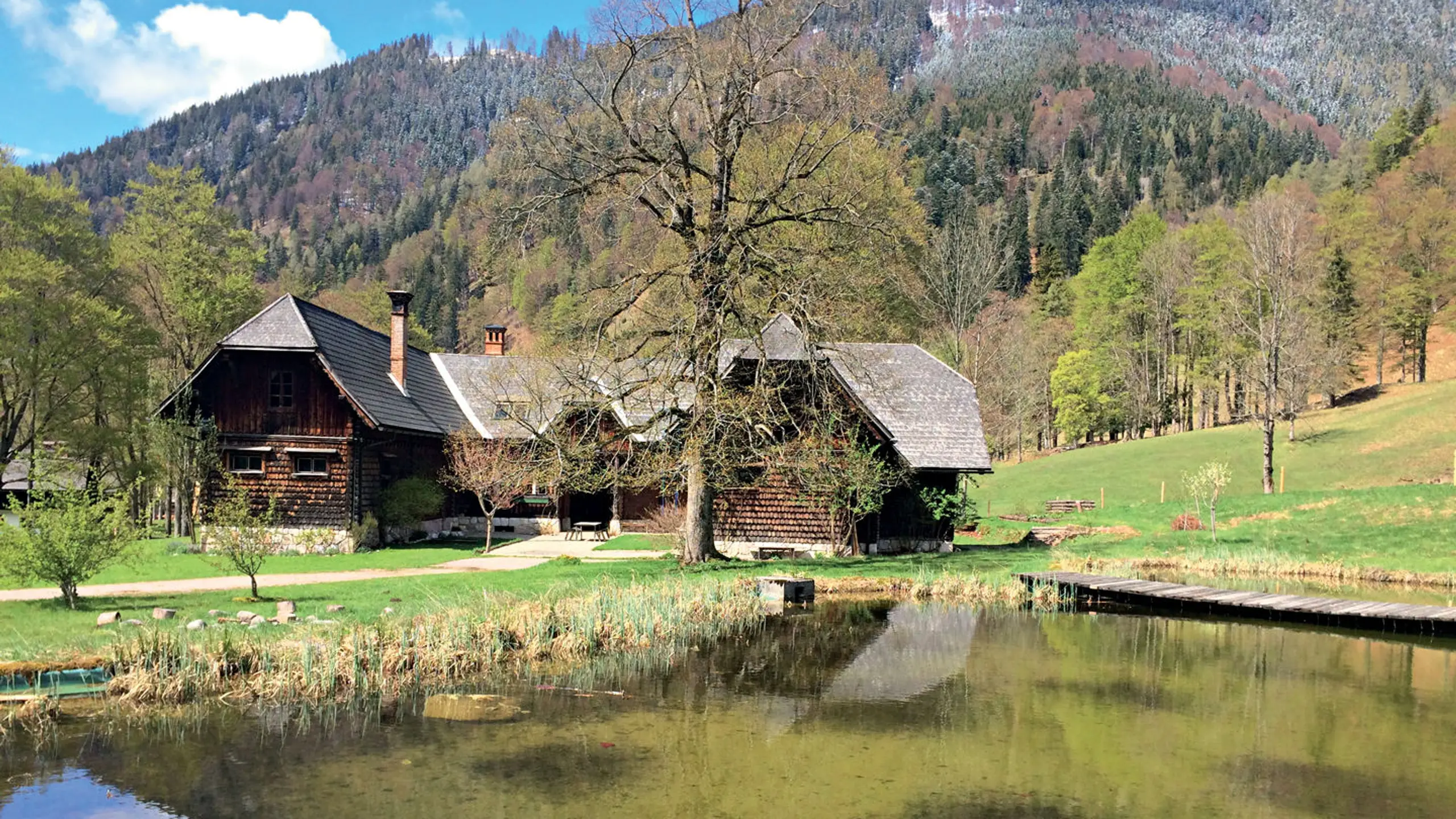 Prinzhorn kauft Rothschild-Jagd und Ländereien in Niederösterreich