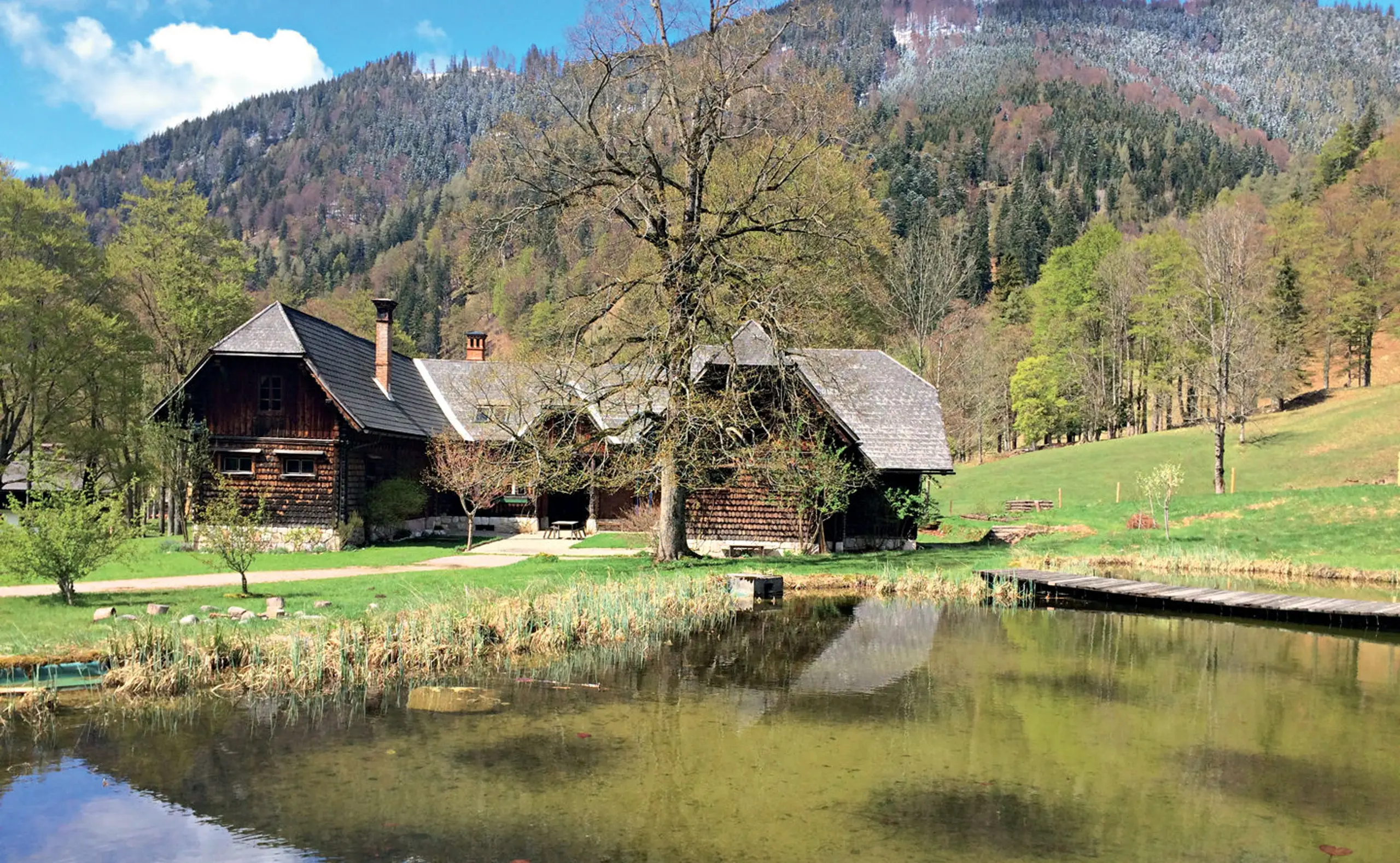 Prinzhorn kauft Rothschild-Jagd und Ländereien in Niederösterreich