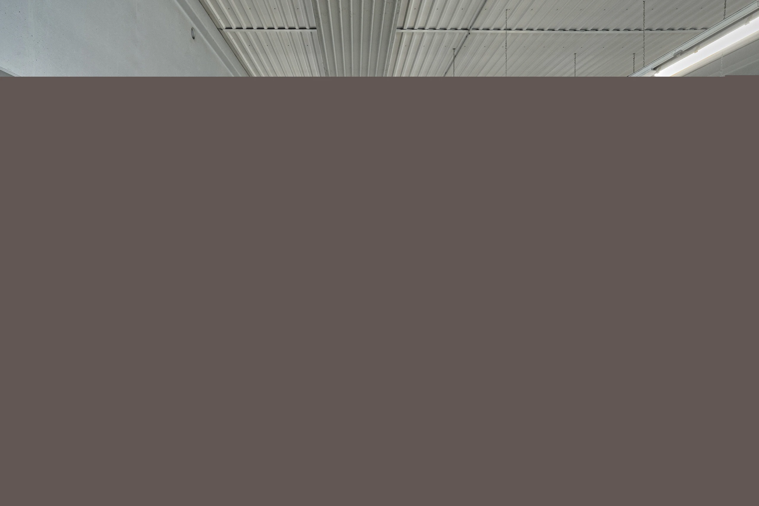 Blurred image background