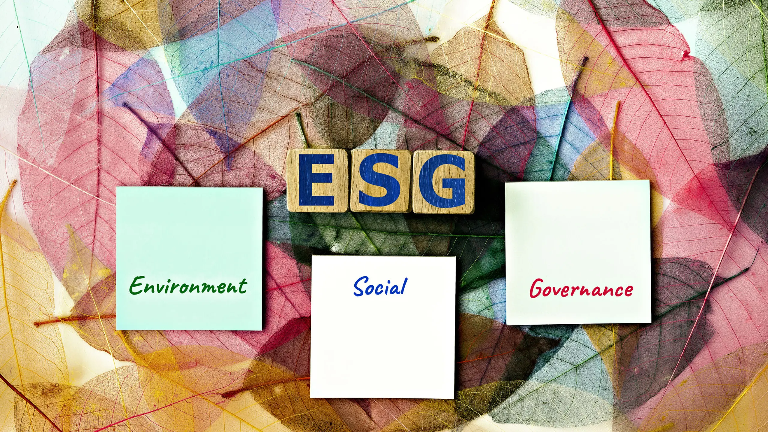 Gute Governance, gute Unternehmen: Das „G“ in ESG