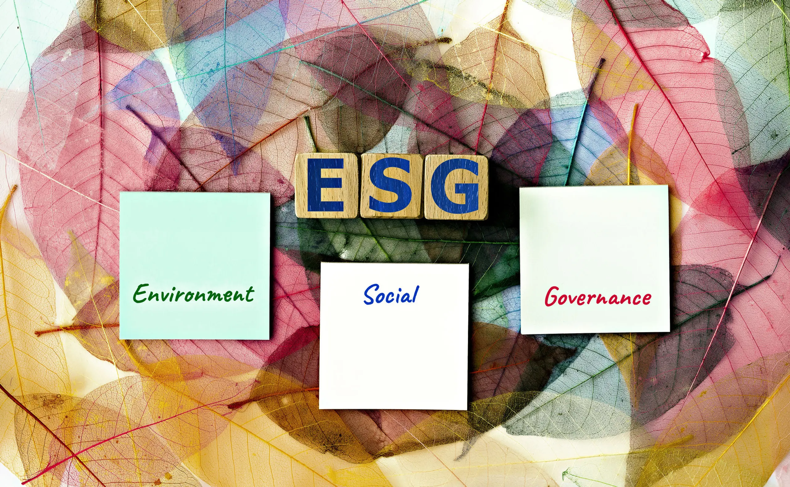 Gute Governance, gute Unternehmen: Das „G“ in ESG