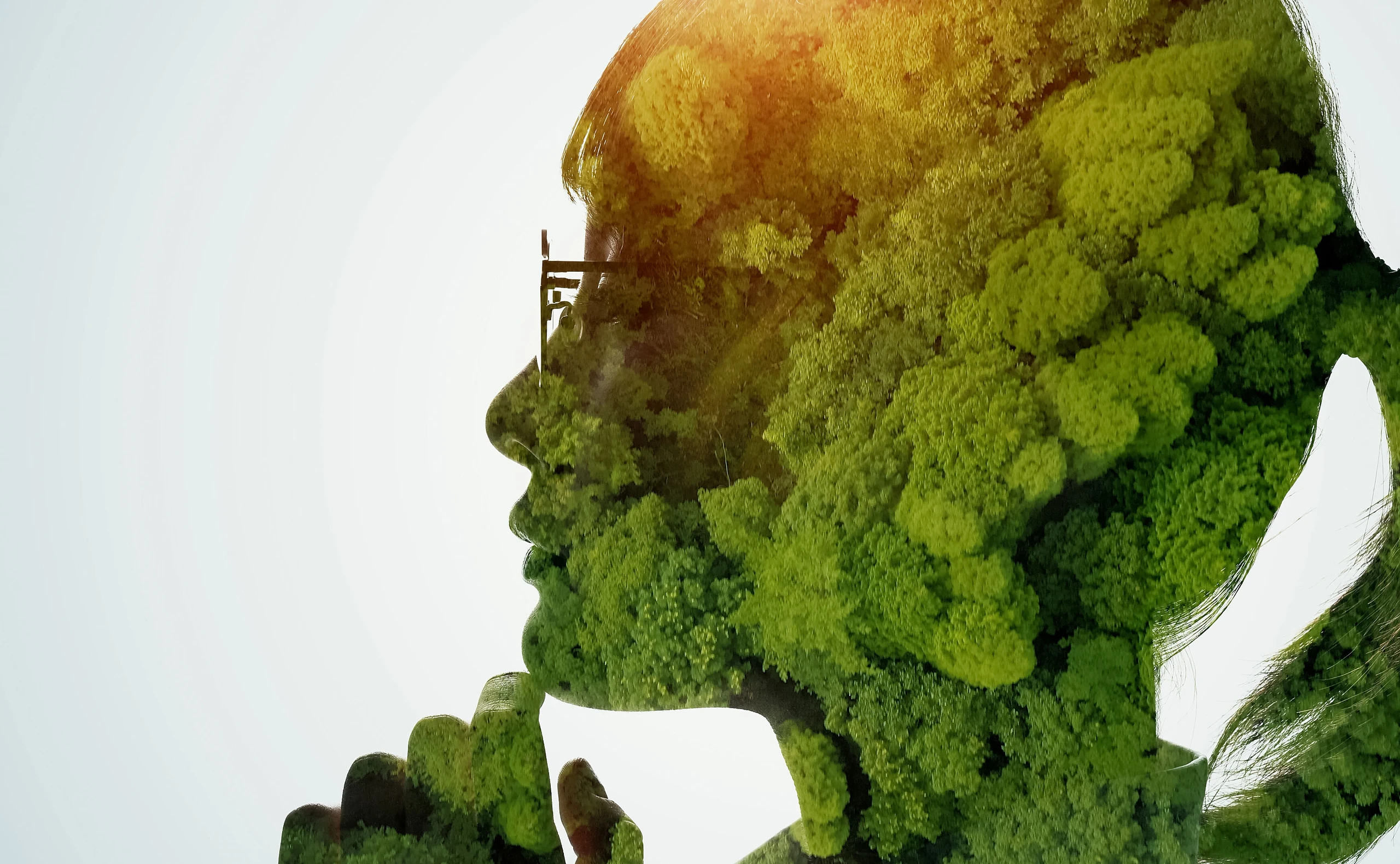 Green Finance Alliance: Finanzunternehmen für den Klimaschutz