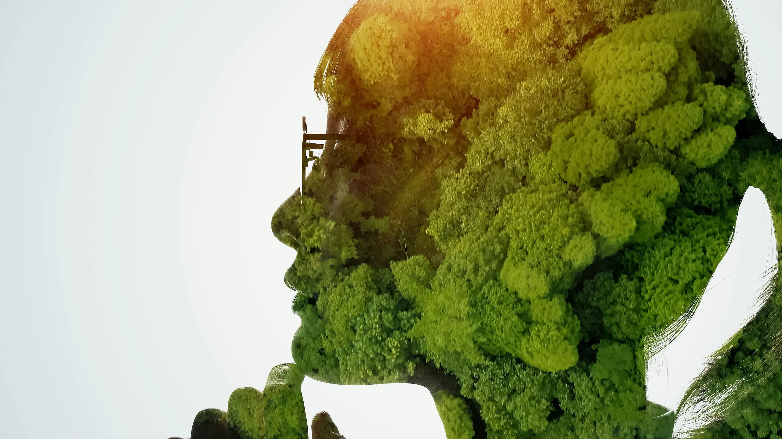 © Getty Images/iStockphoto Green Finance Alliance: Finanzunternehmen für den Klimaschutz