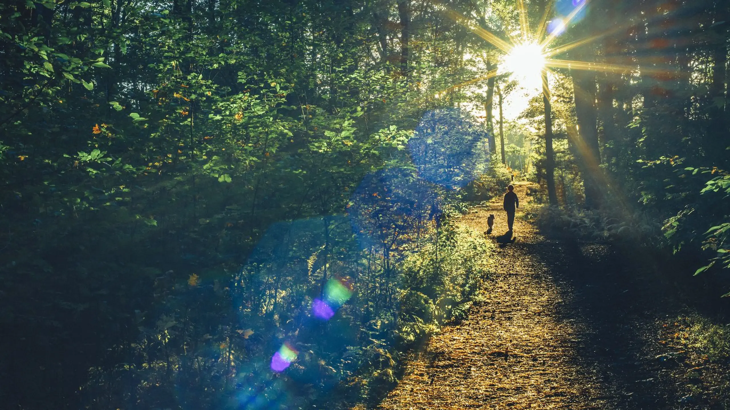 Was im Wald verboten und erlaubt ist