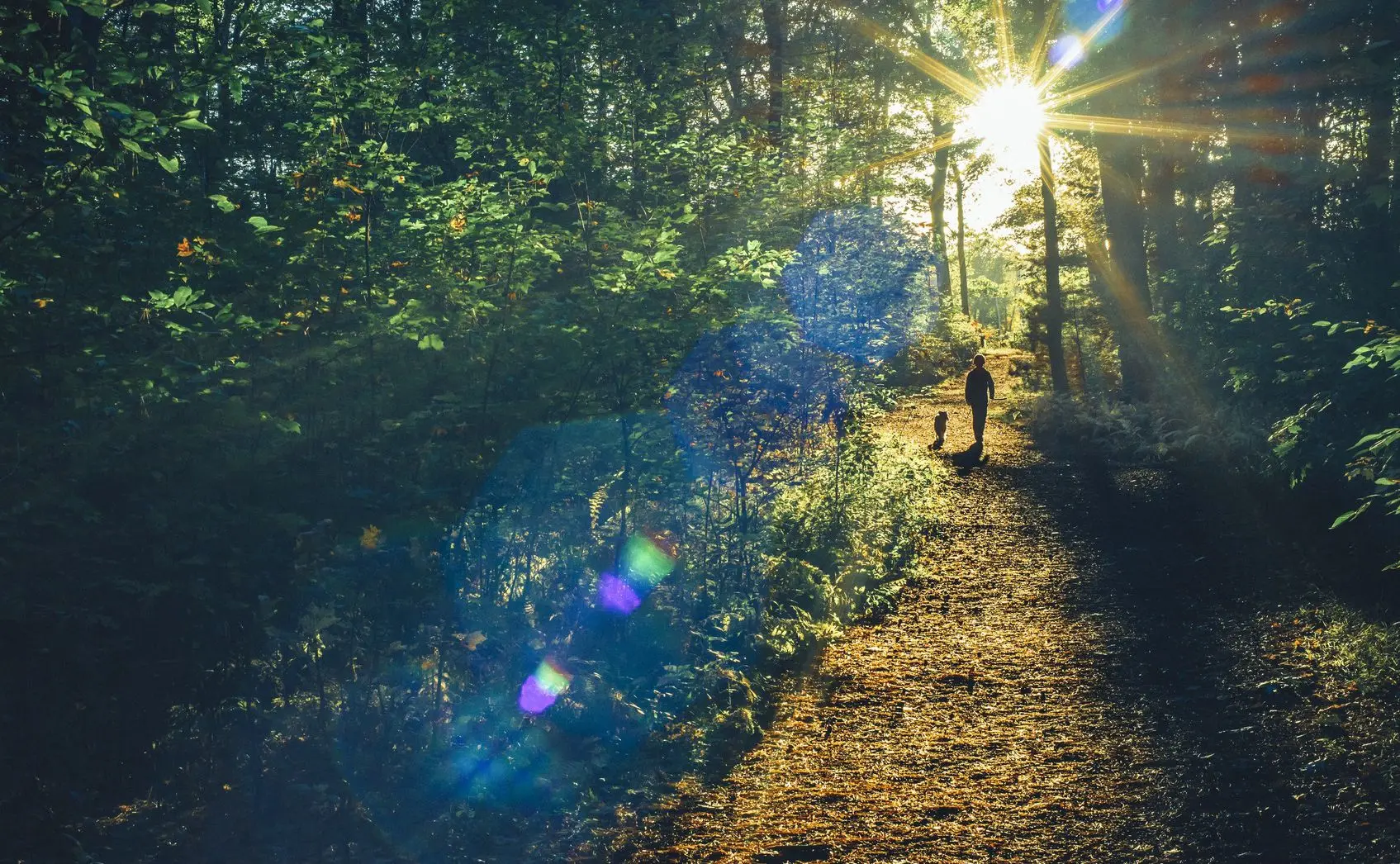 Was im Wald verboten und erlaubt ist
