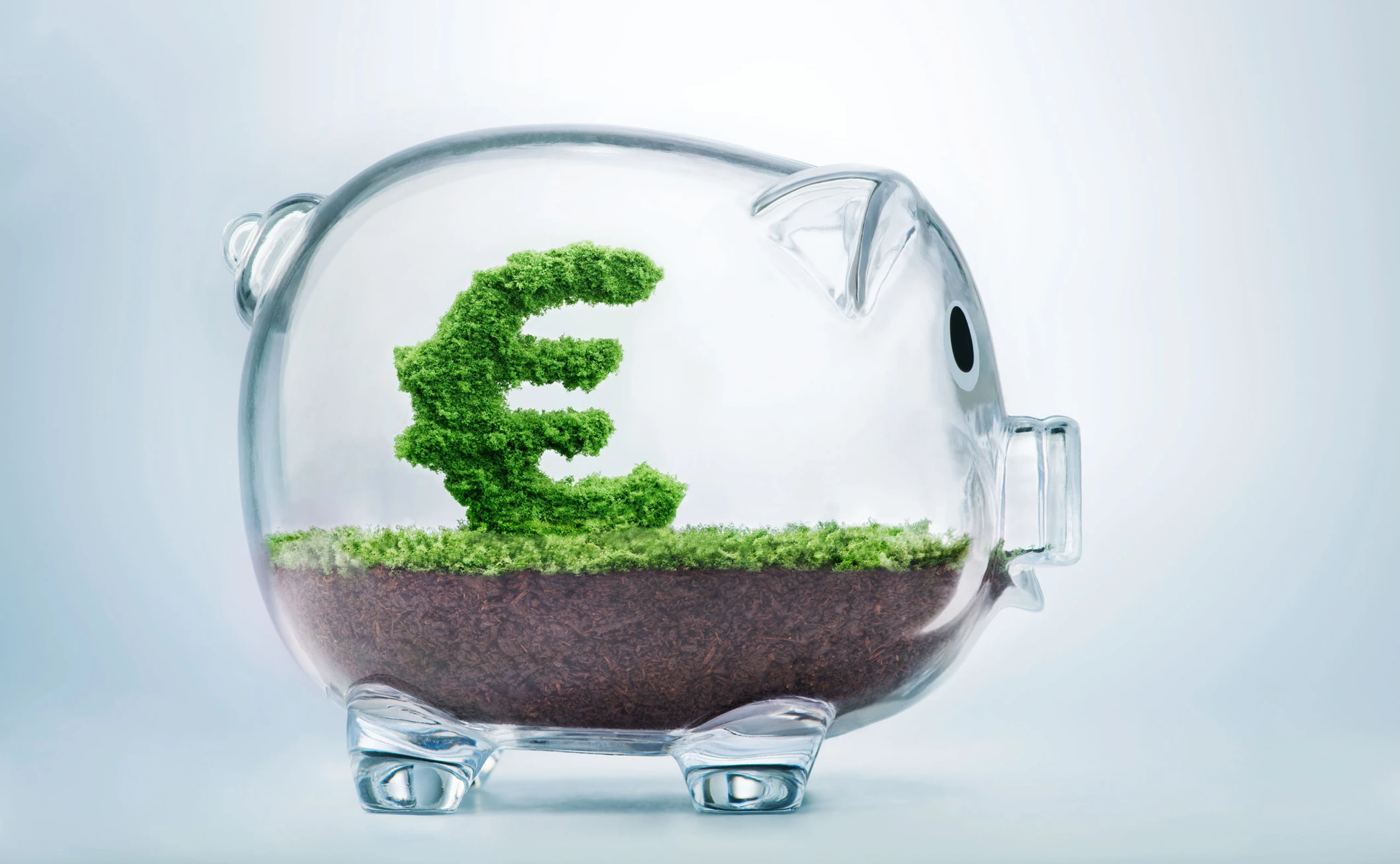 Umwelt- und klimabewusst investieren: Das "E" in ESG