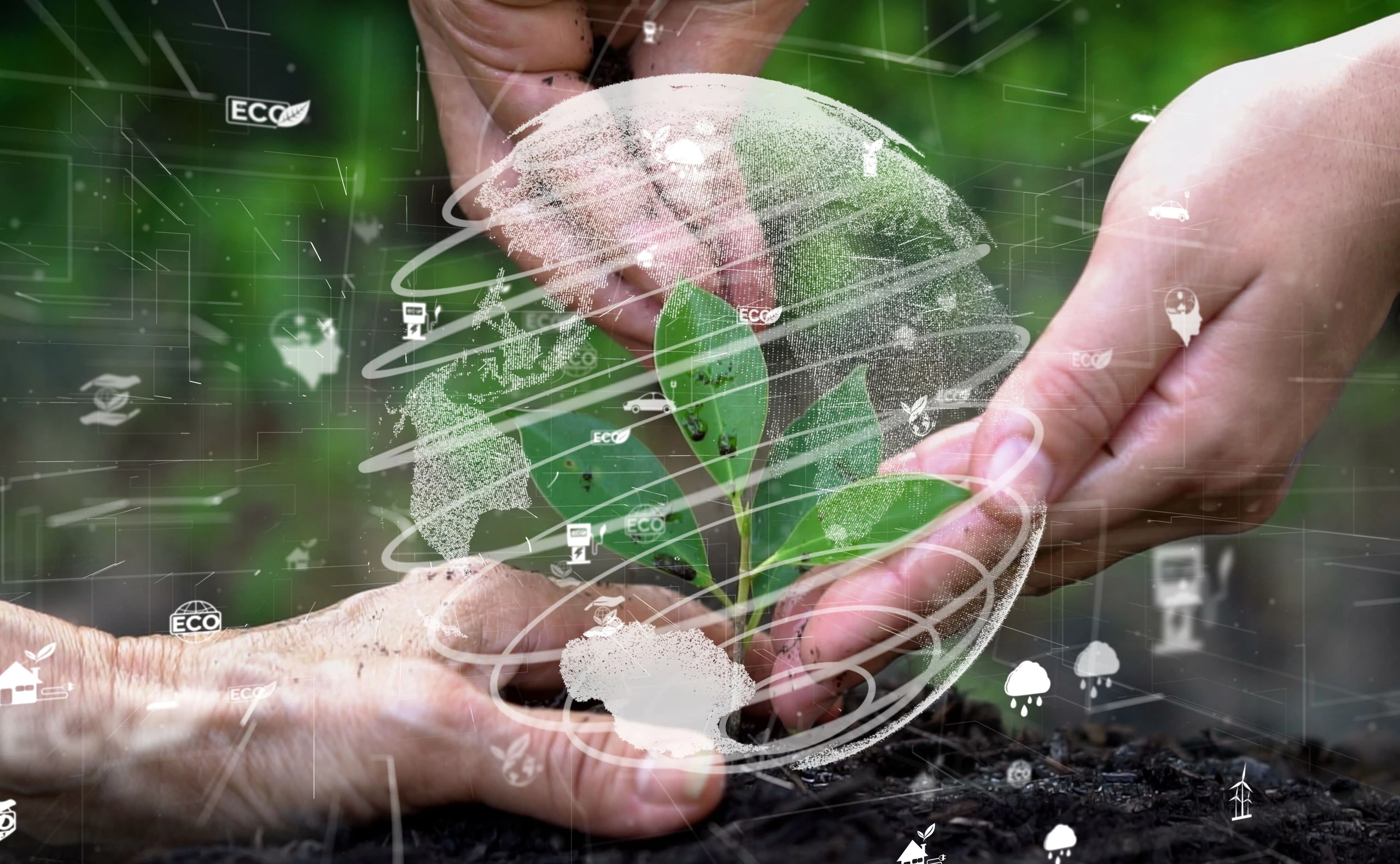 Nachhaltigkeitsmanager: Manager des Klimawandels