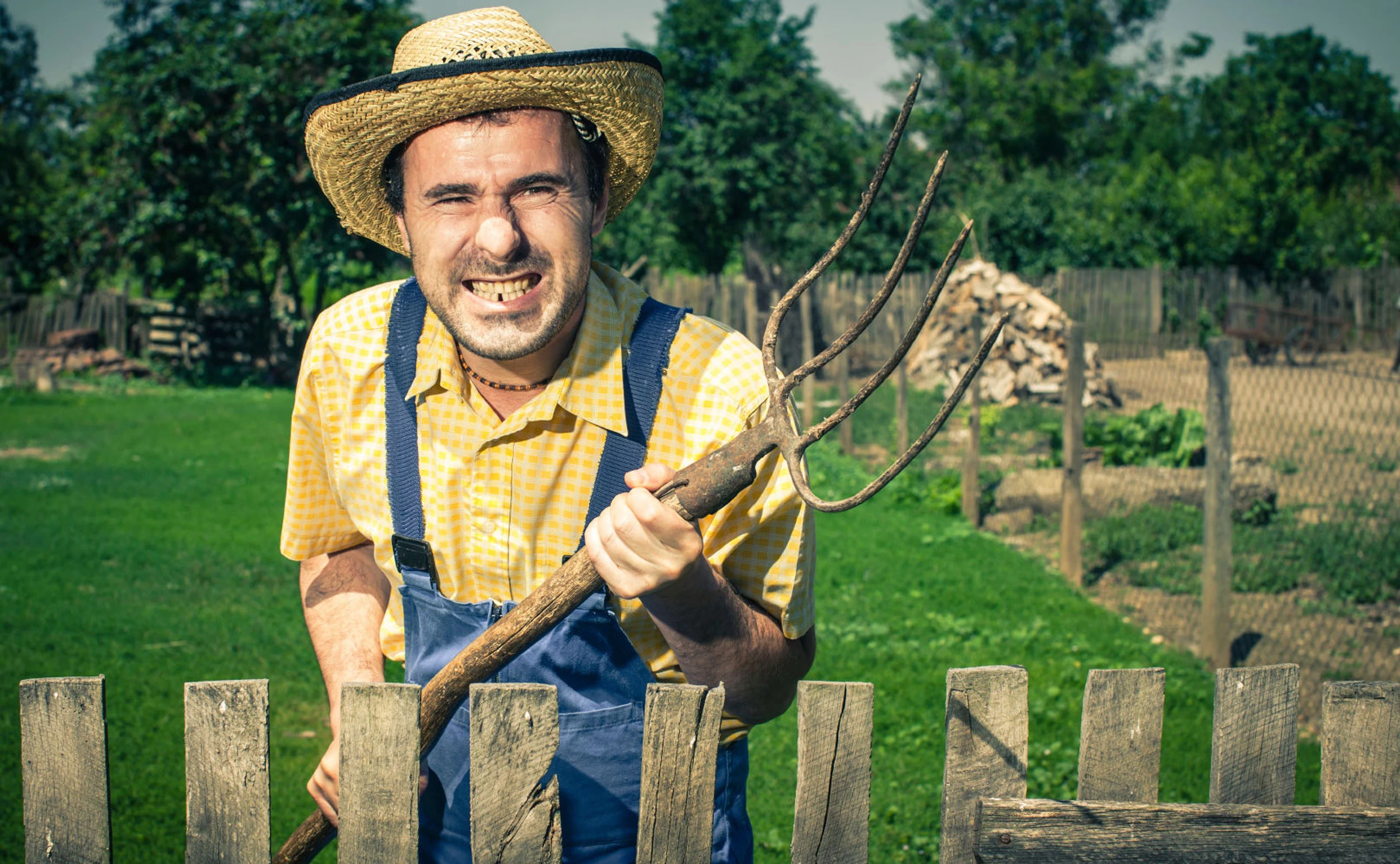 Nachbarn: Was man erdulden muss, wann man sich wehren kann