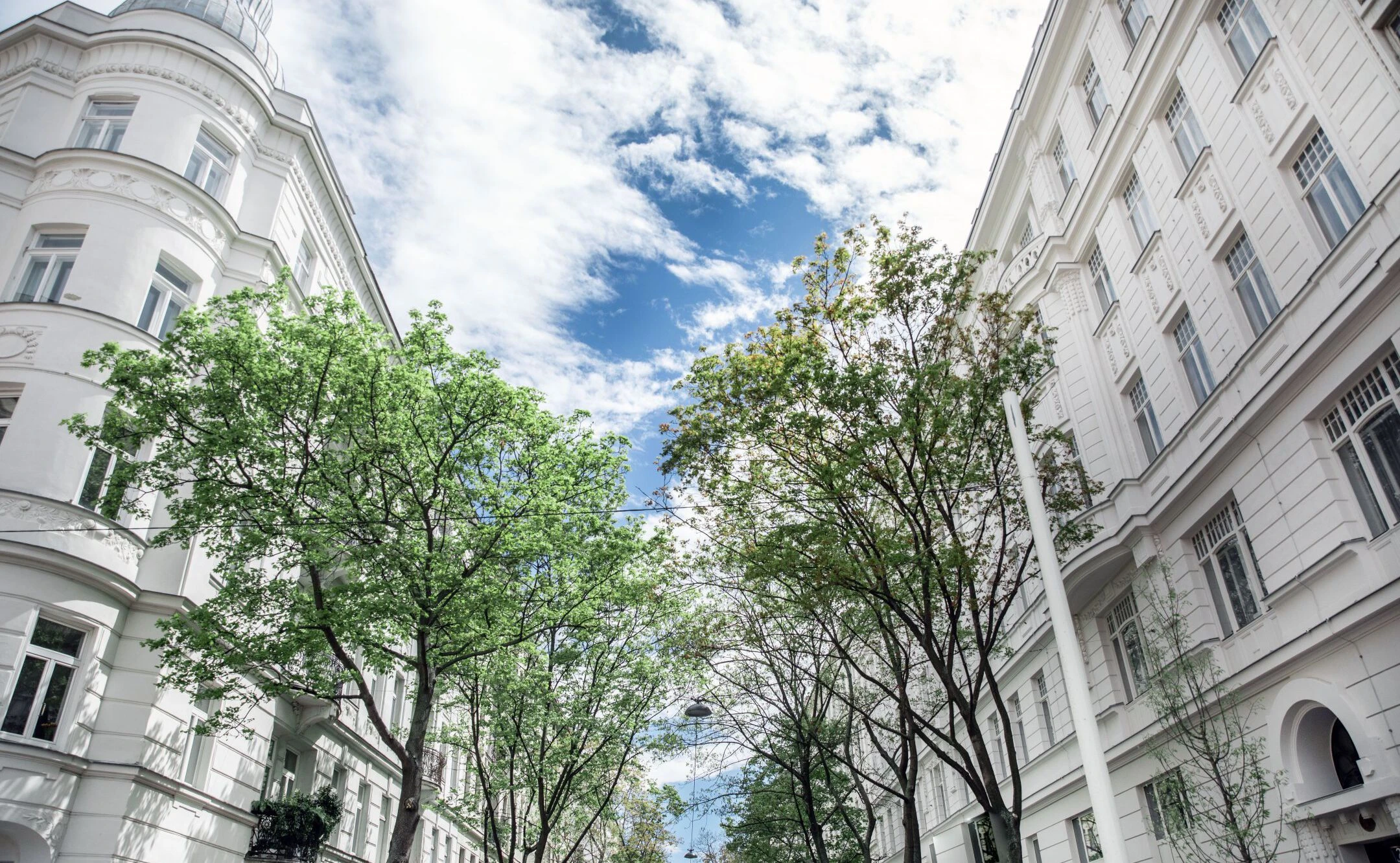 In Österreich haben sich die Immobilienpreise in den vergangenen 10 Jahren nahezu verdoppelt. Das Ifo-Institut geht davon aus, dass sich der Trend fortsetzt.