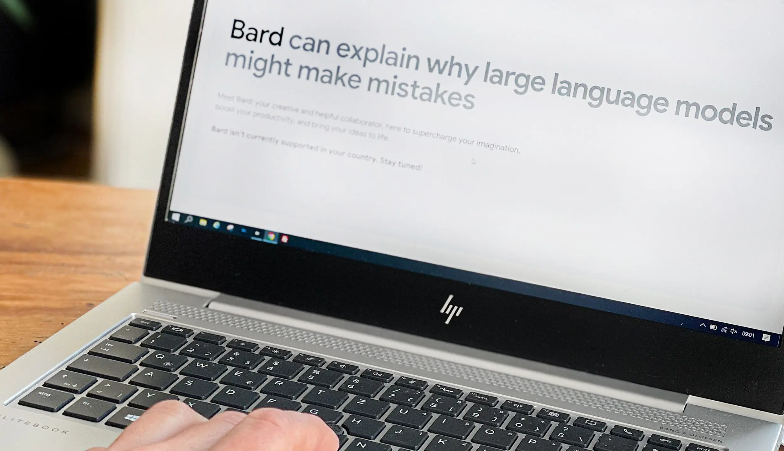 © Elke Mayr Google Bard Interface
