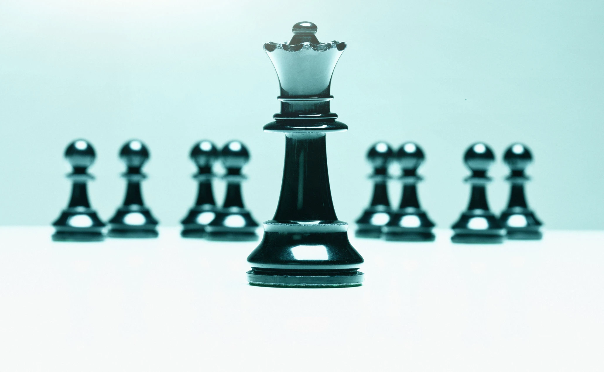 Malik on Management: Von den Großen lernen, auf eigene Stärken setzen