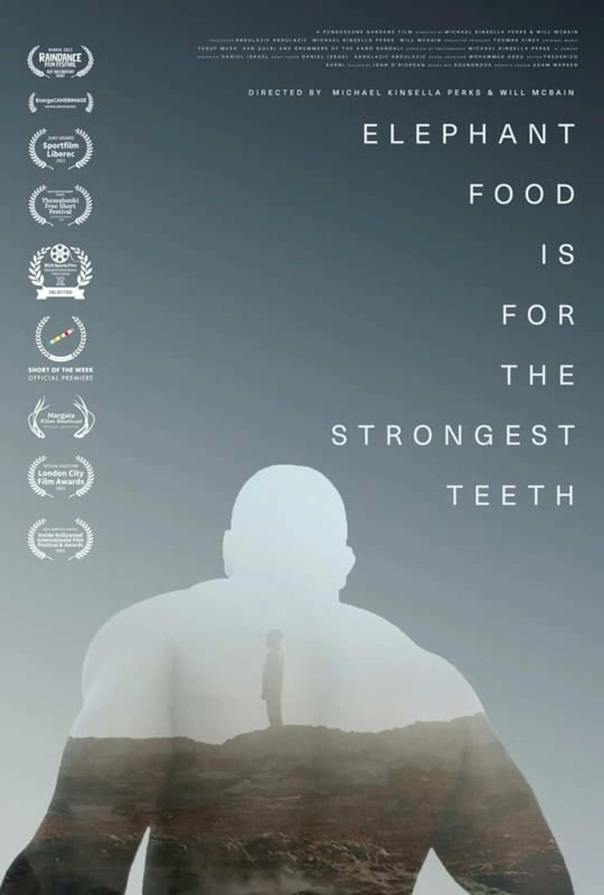 Elephant Food Is for the Strongest Teeth