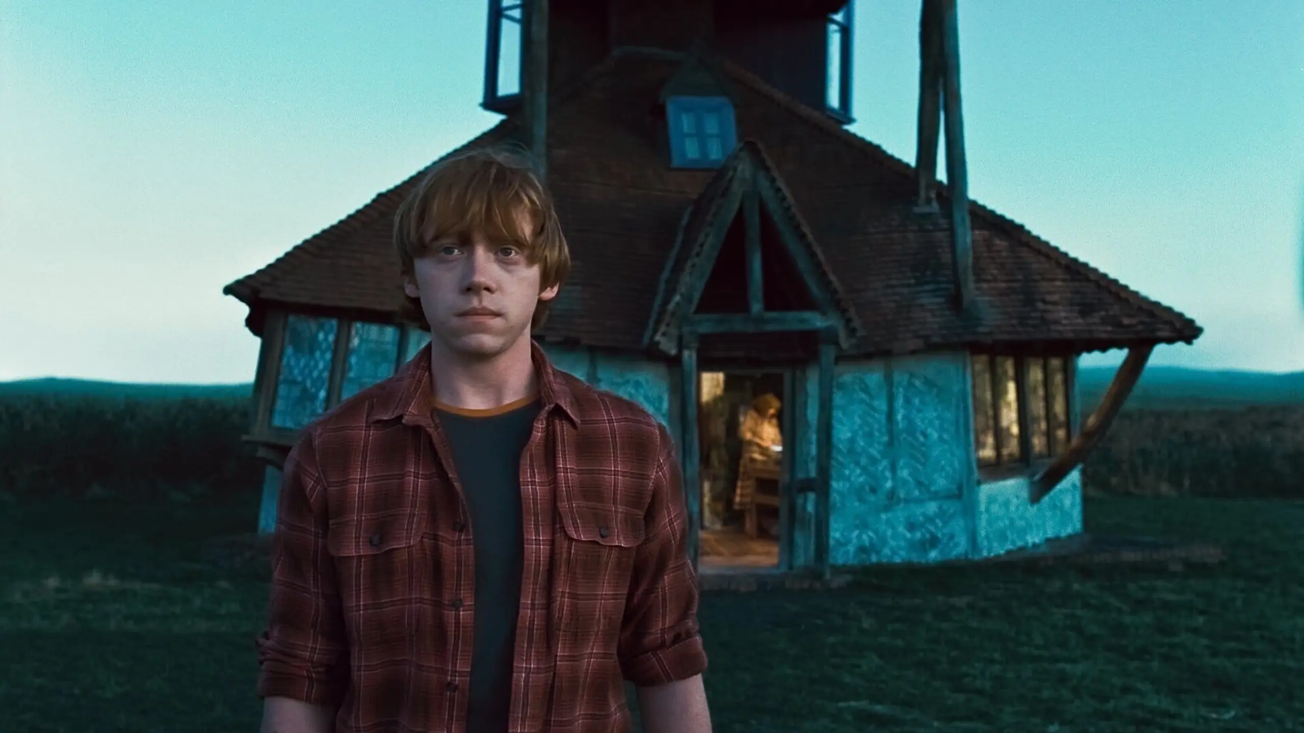 Harry Potter und die Heiligtümer des Todes (1)