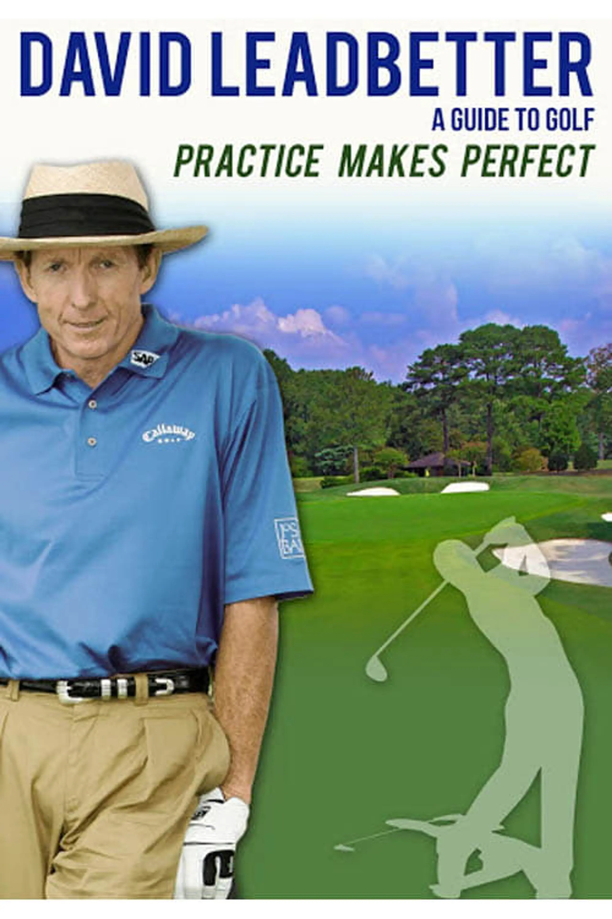 David Leadbetter Practice Makes Perfect