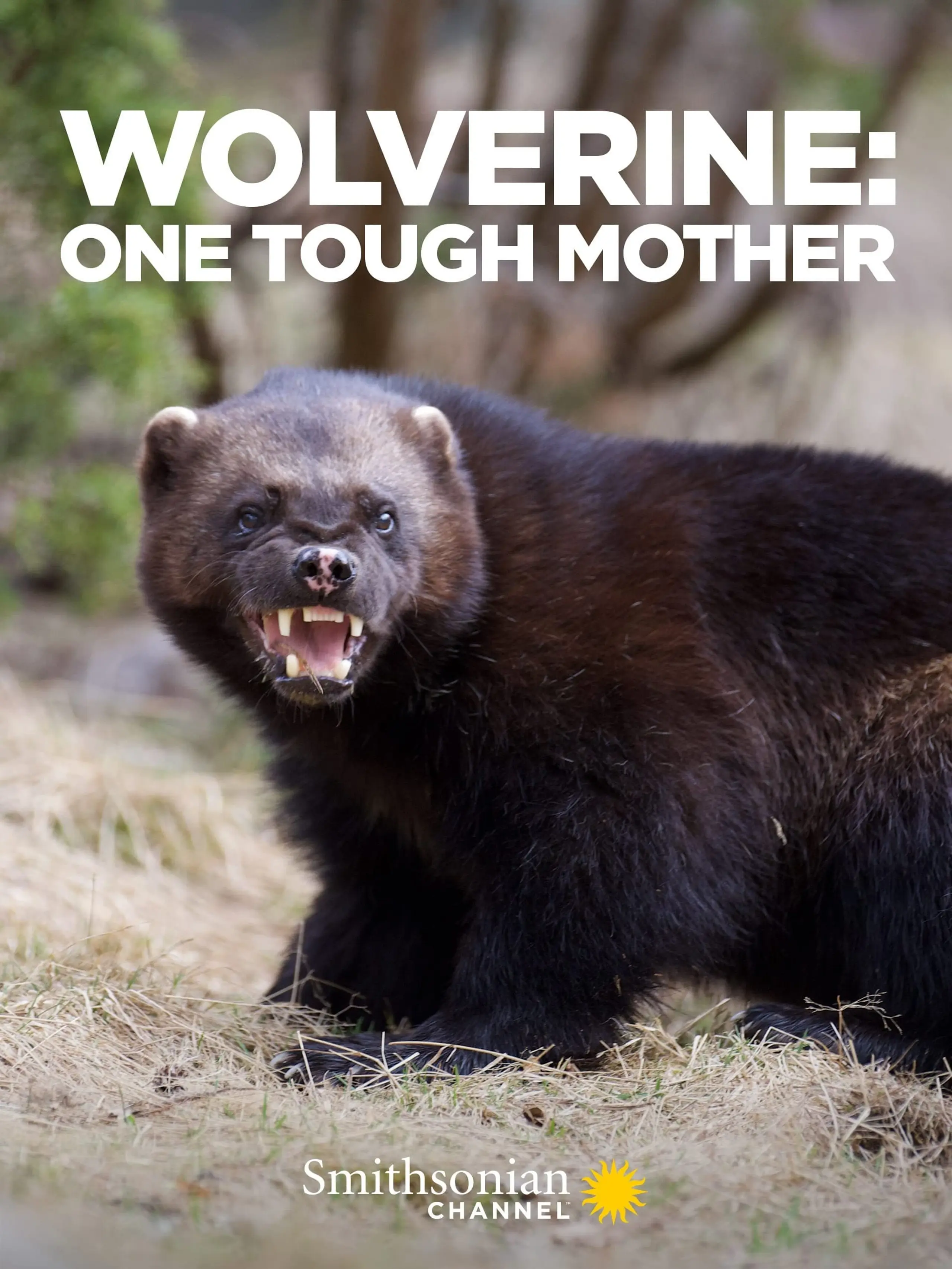 Wolverine: One Tough Mother