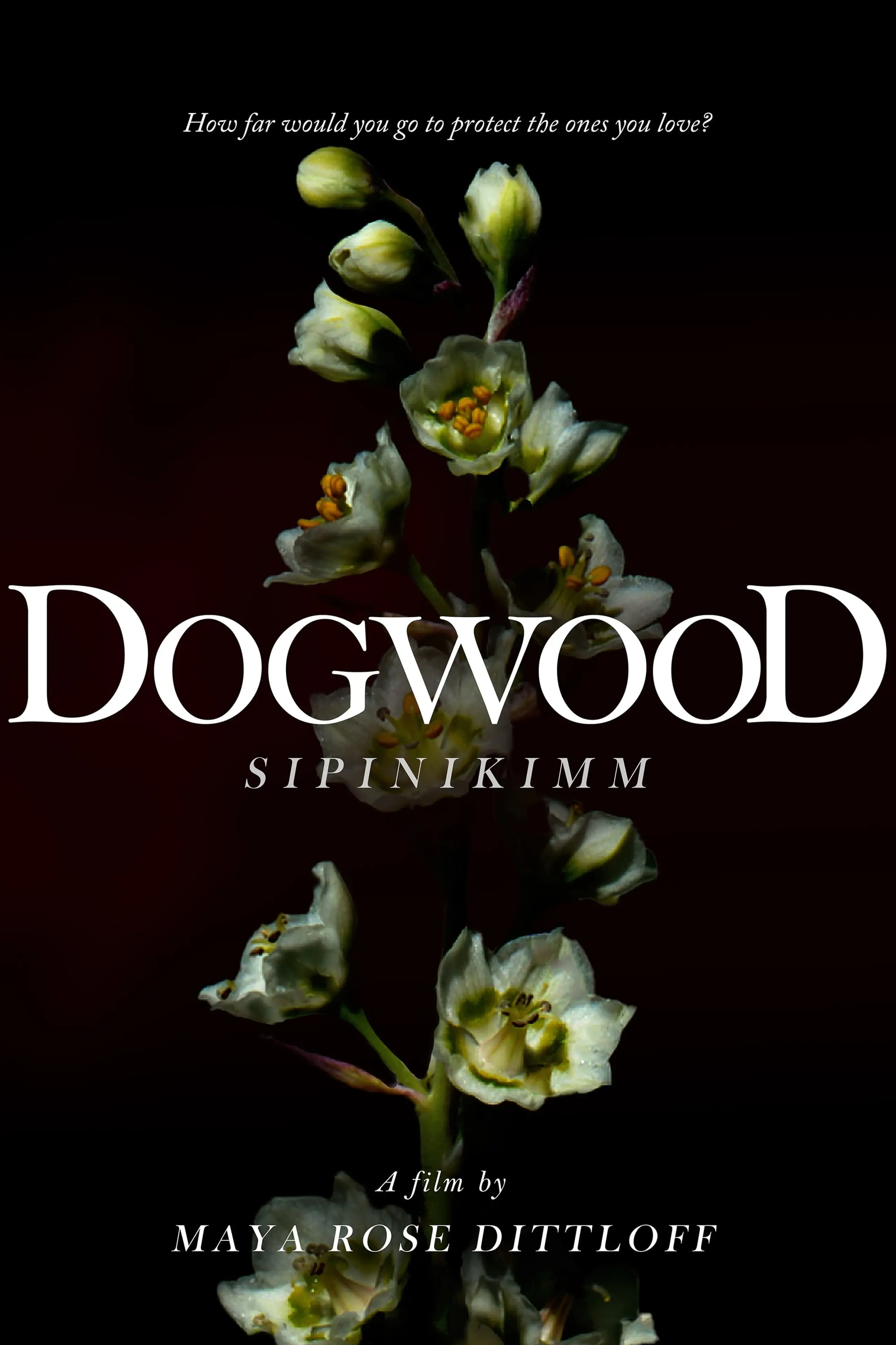 Dogwood (Sipinikimm)