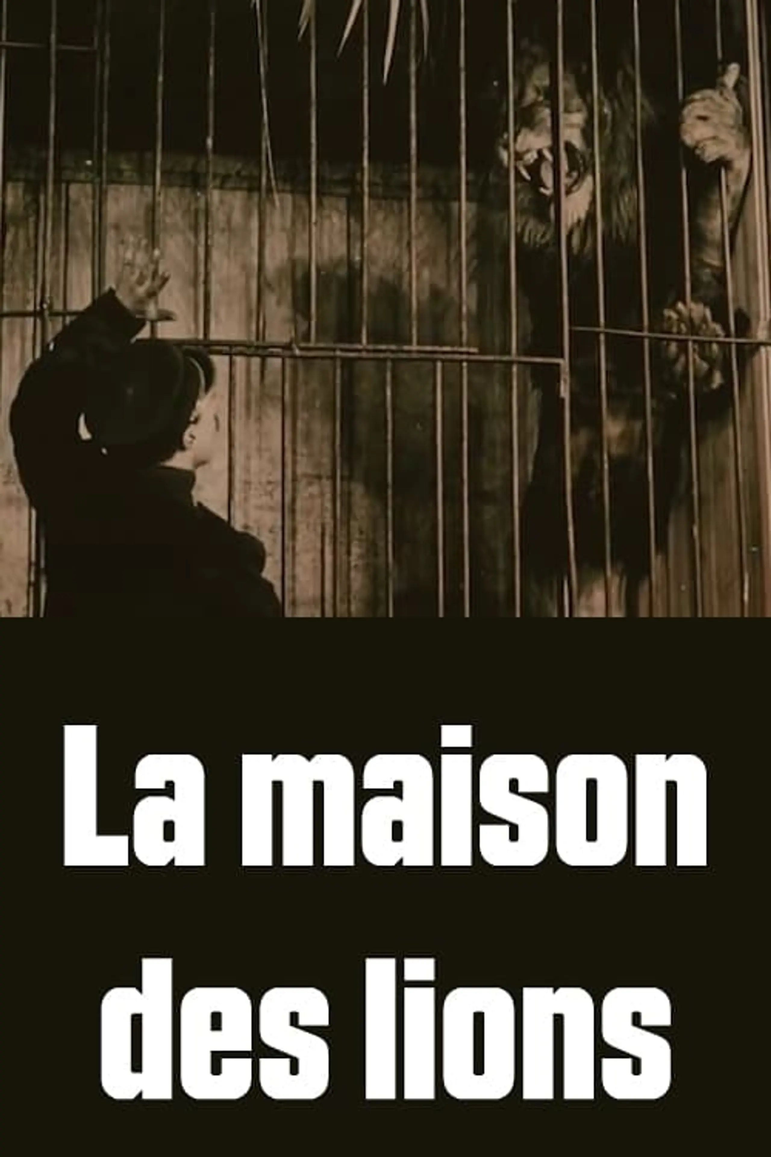 La maison des lions