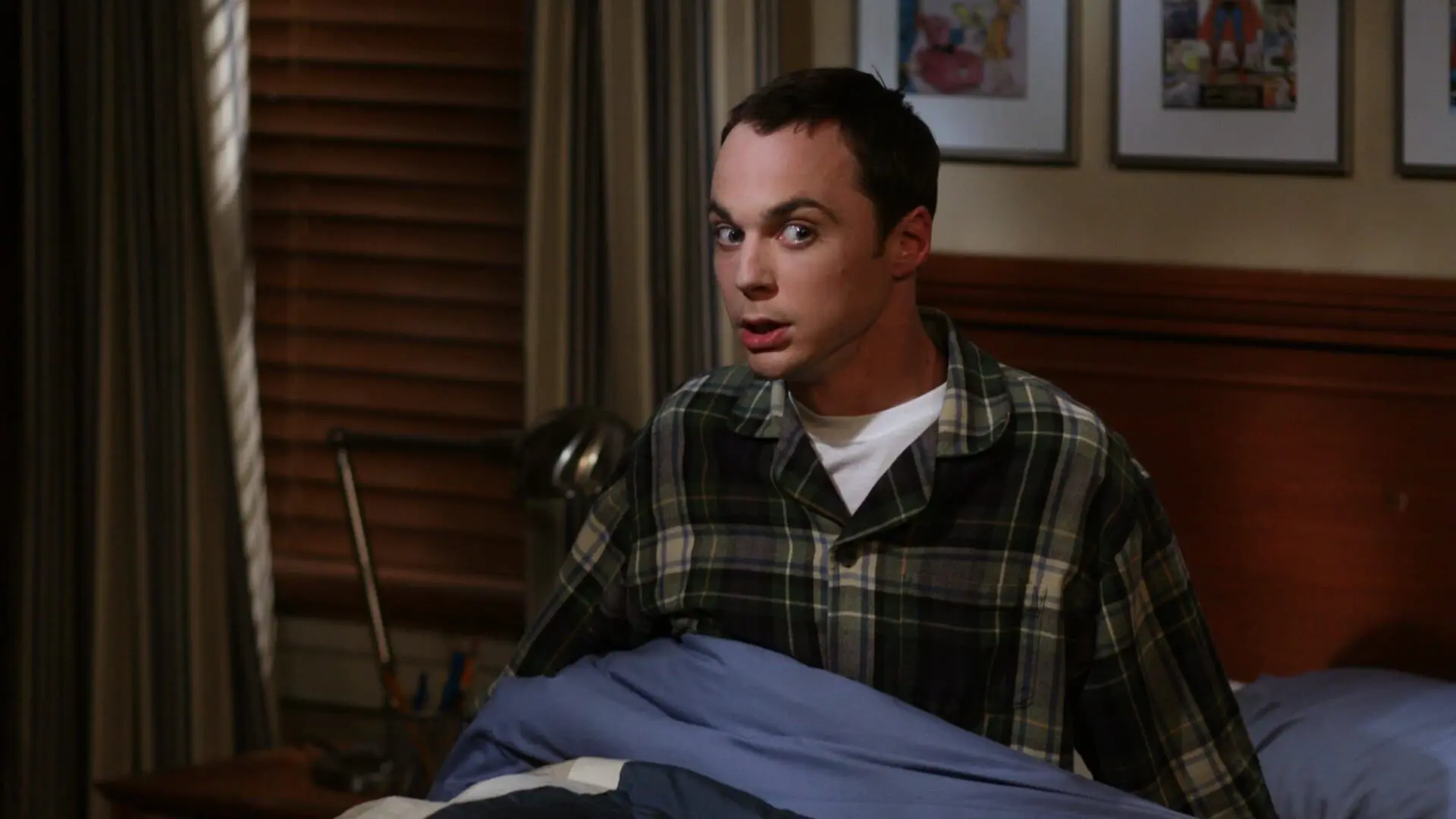 The Big Bang Theory