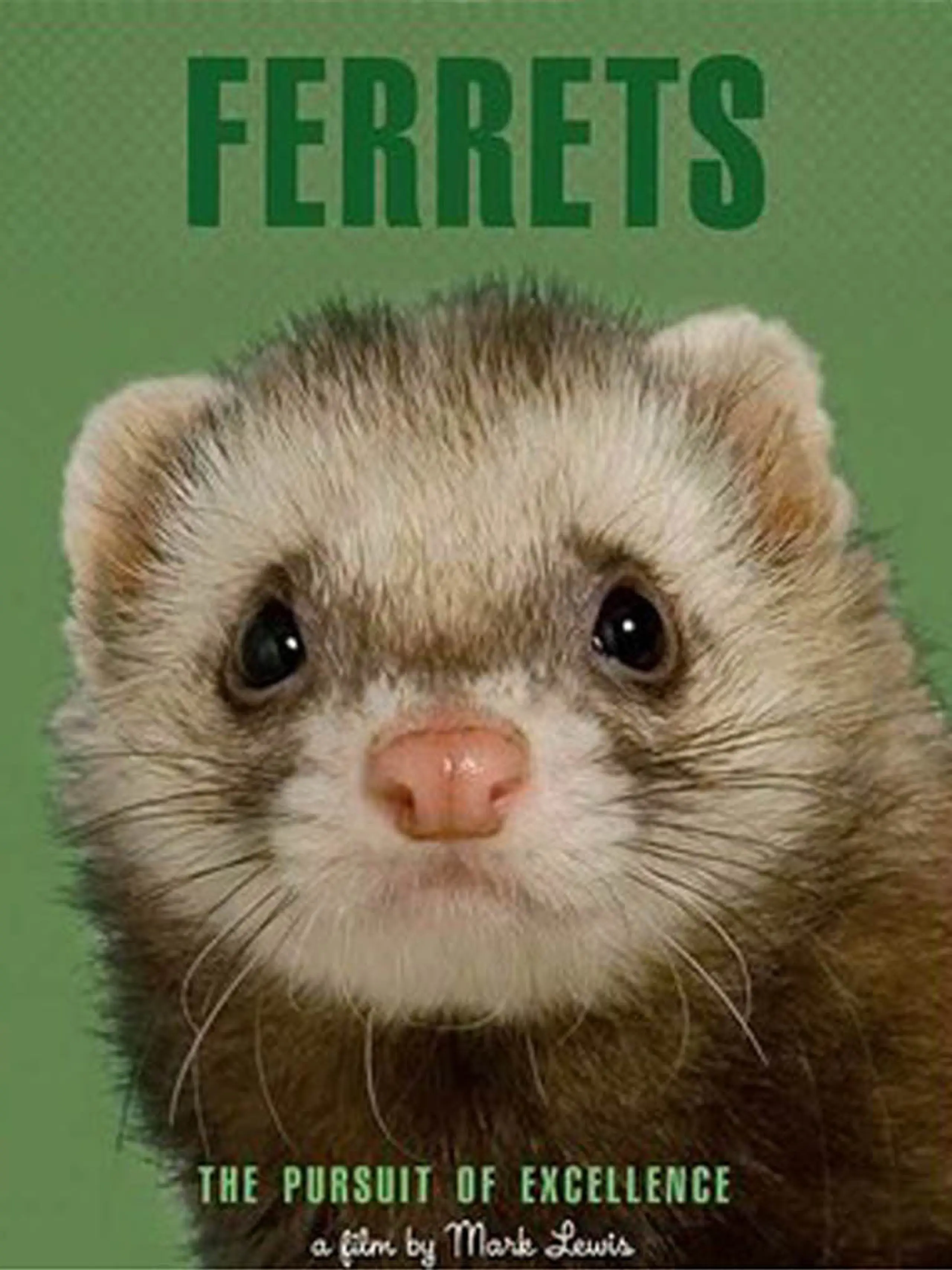 Ferrets: The Pursuit of Excellence