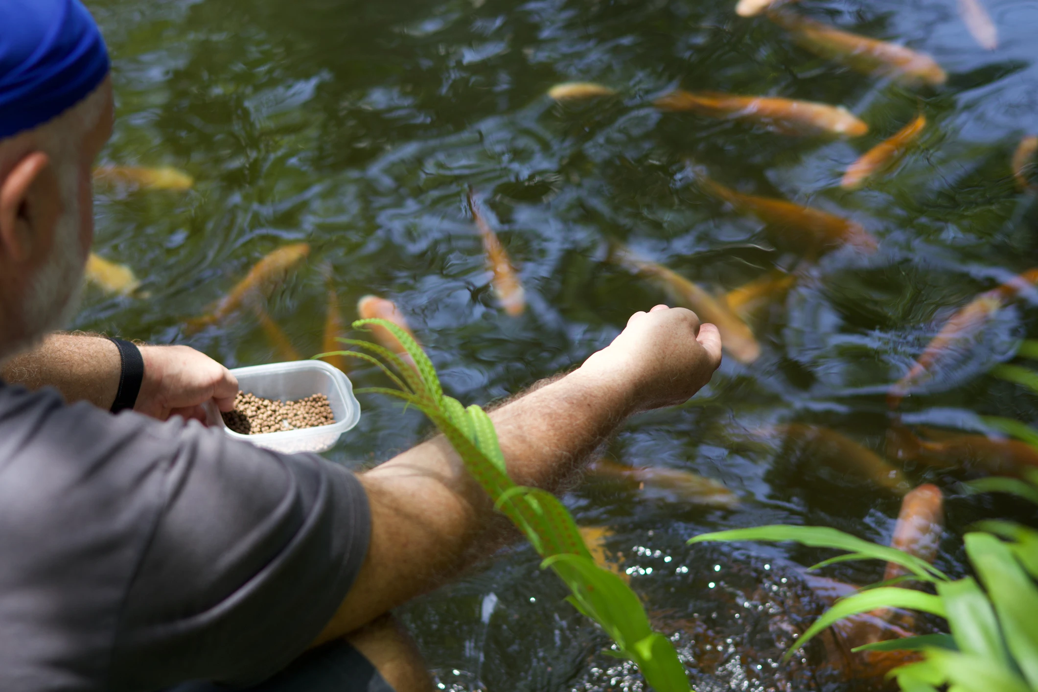 Fischzucht statt Kohleabbau