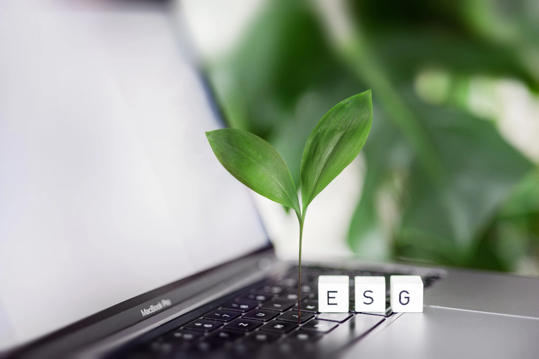 Neuer ESG-Standard für das Steuerreporting