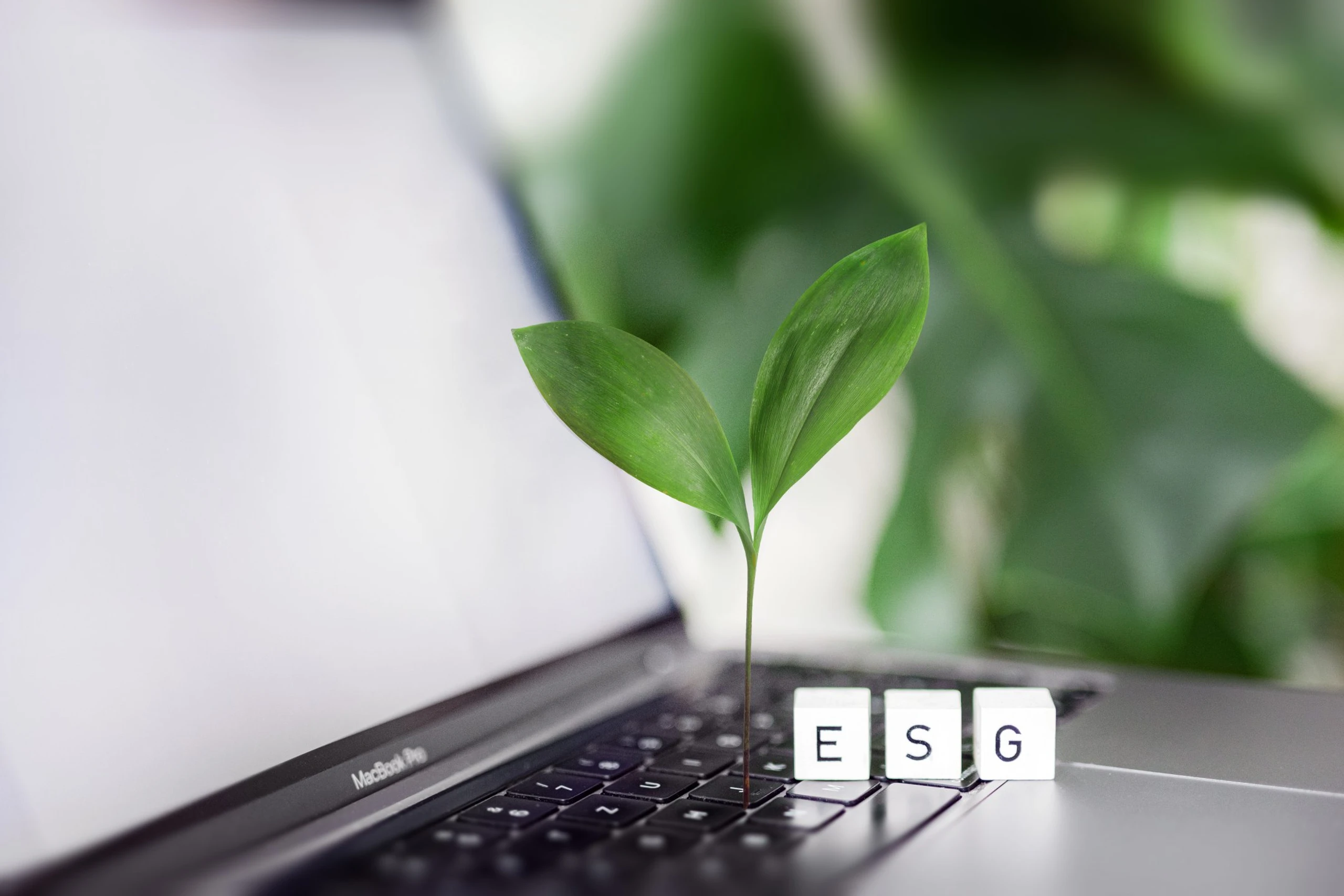Neuer ESG-Standard für das Steuerreporting