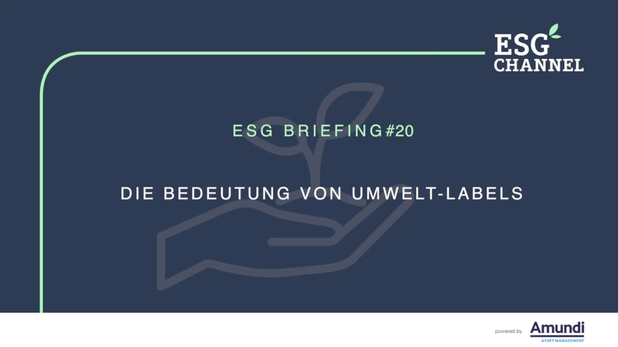 ESG-Briefing Nr. 20: Wie nachhaltig ist nachhaltig?